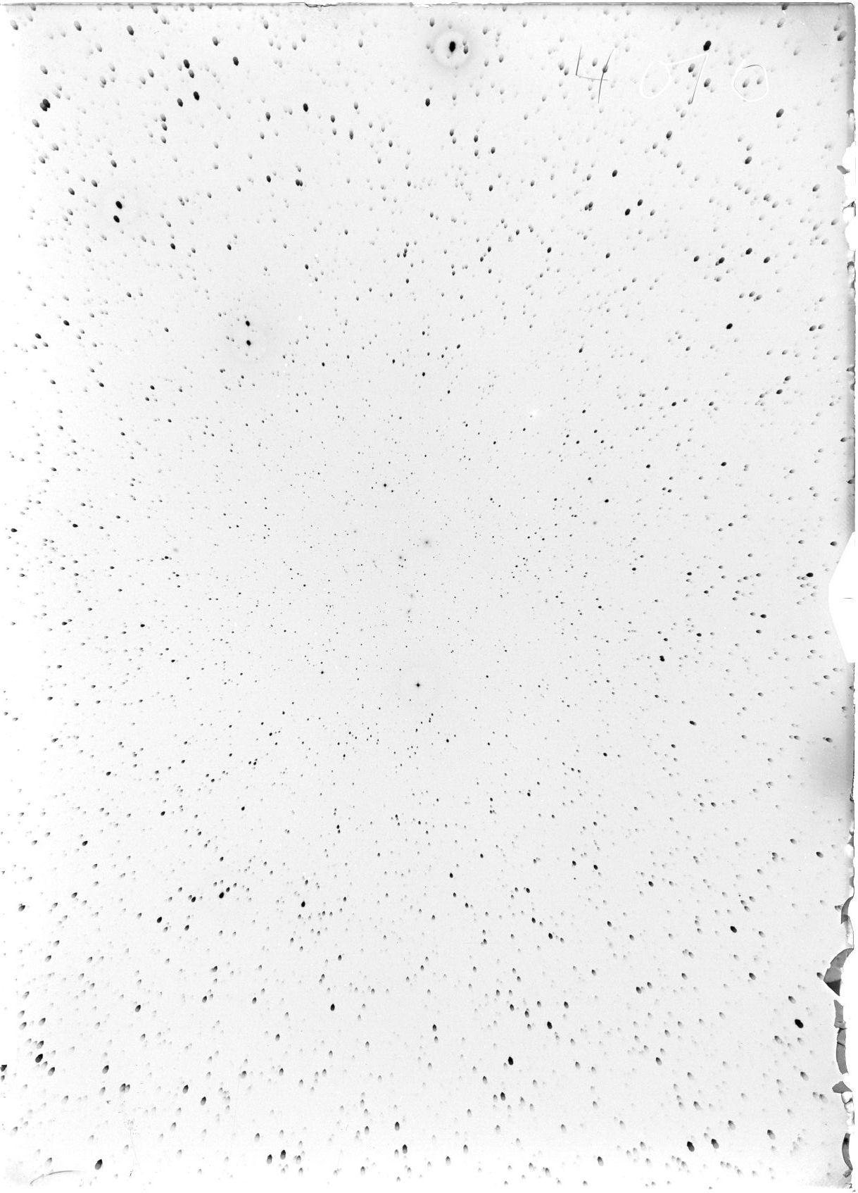 Scan ST04010