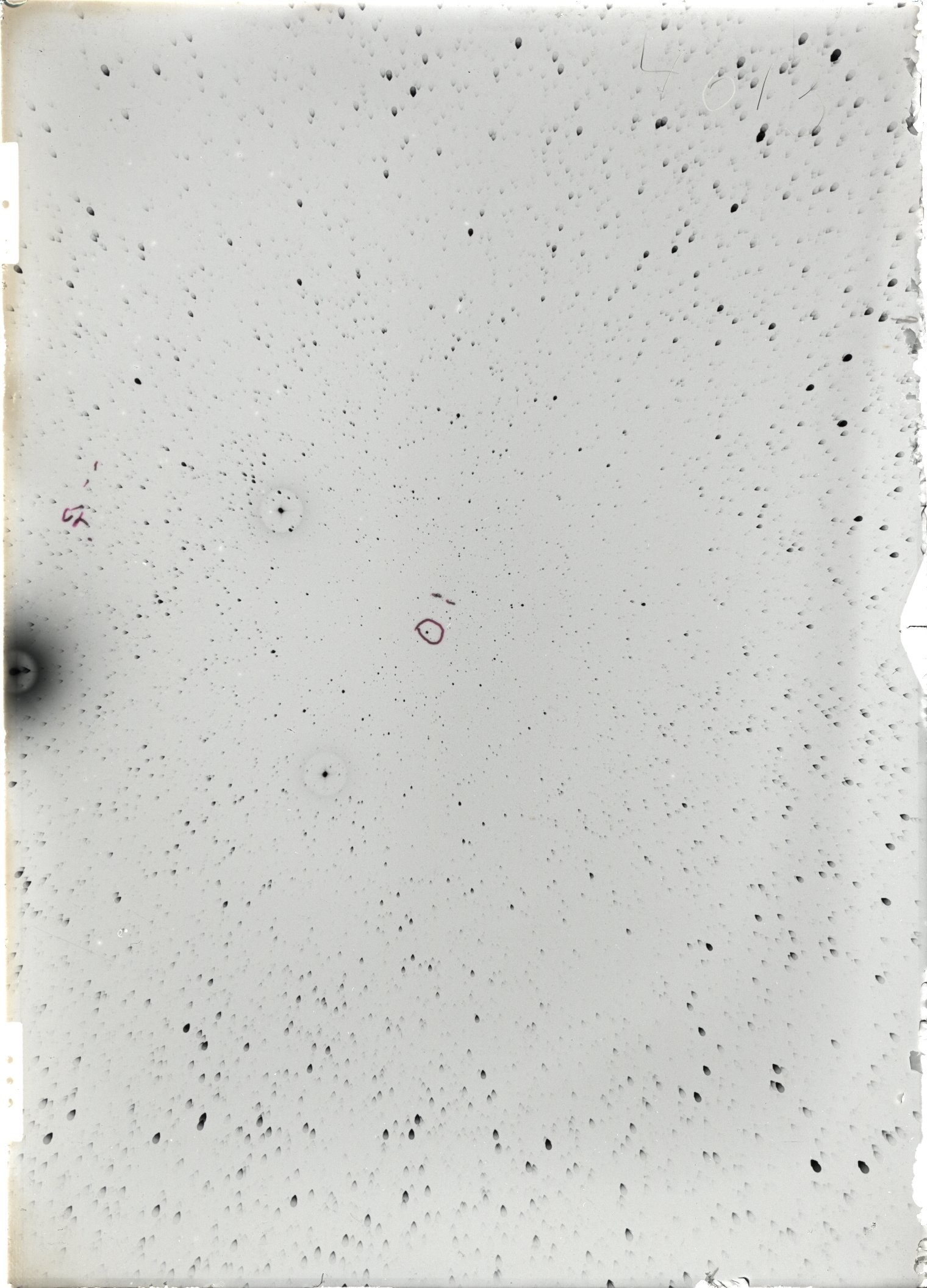 Scan ST04013