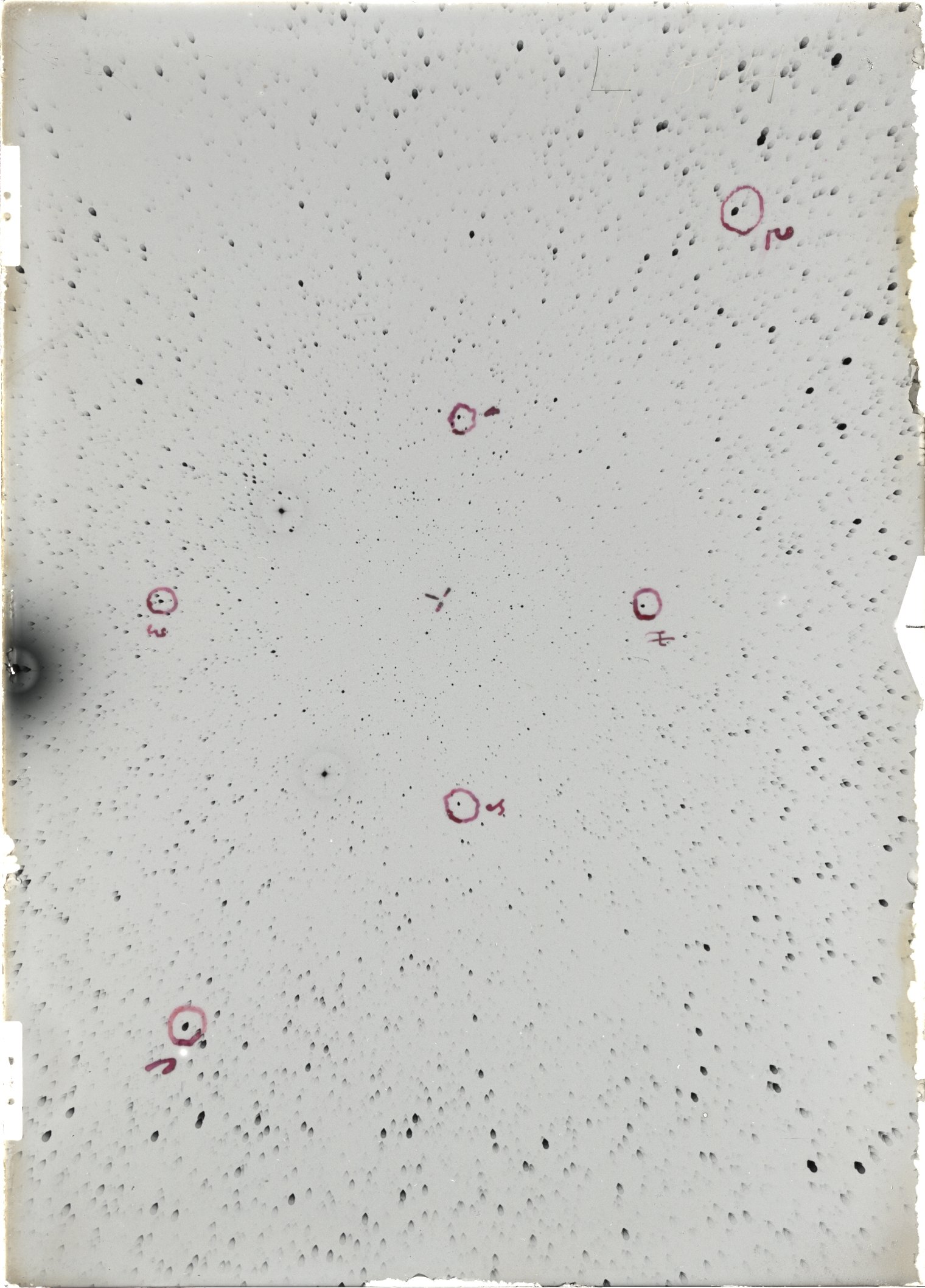 Scan ST04014