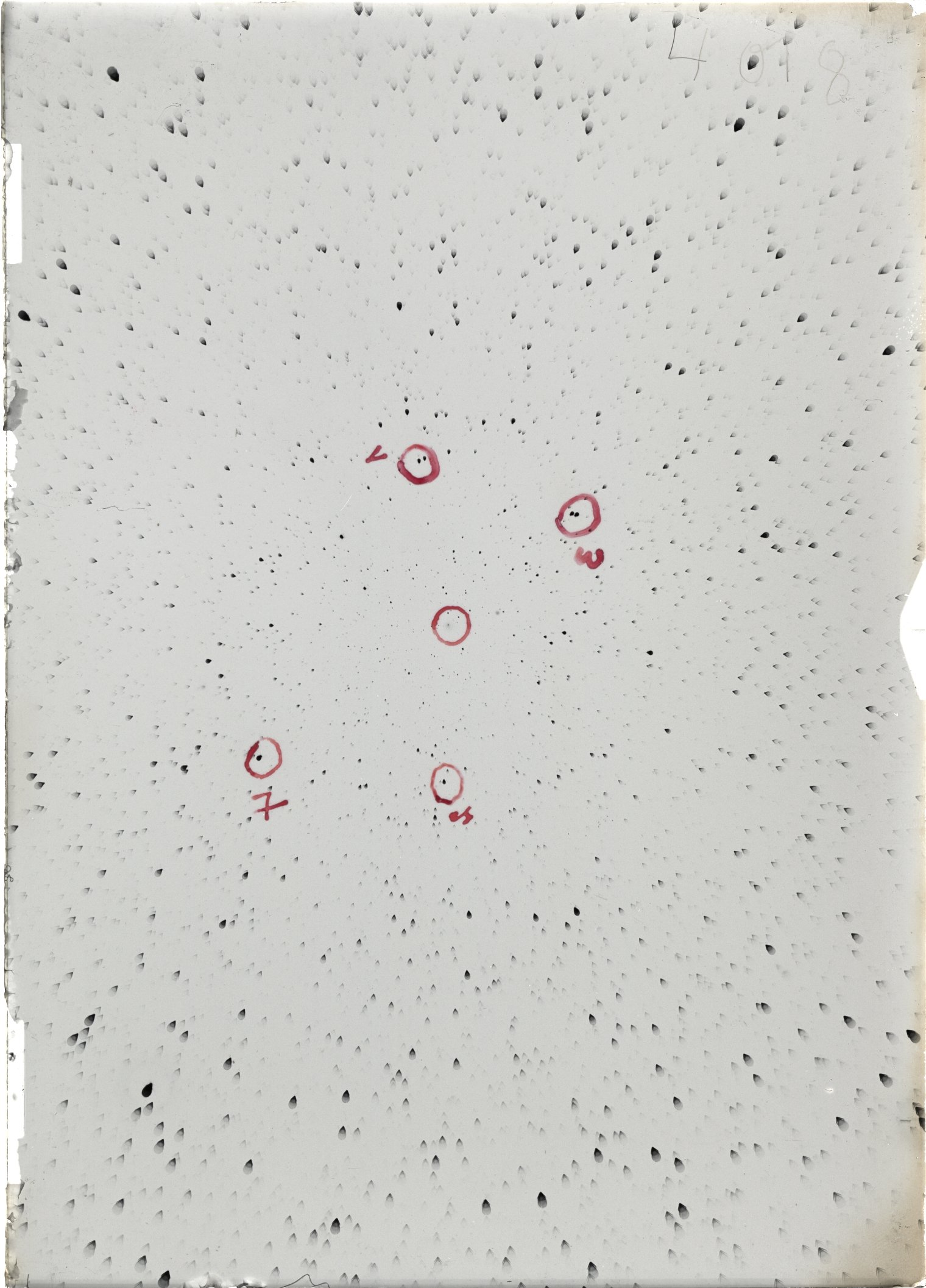 Scan ST04018