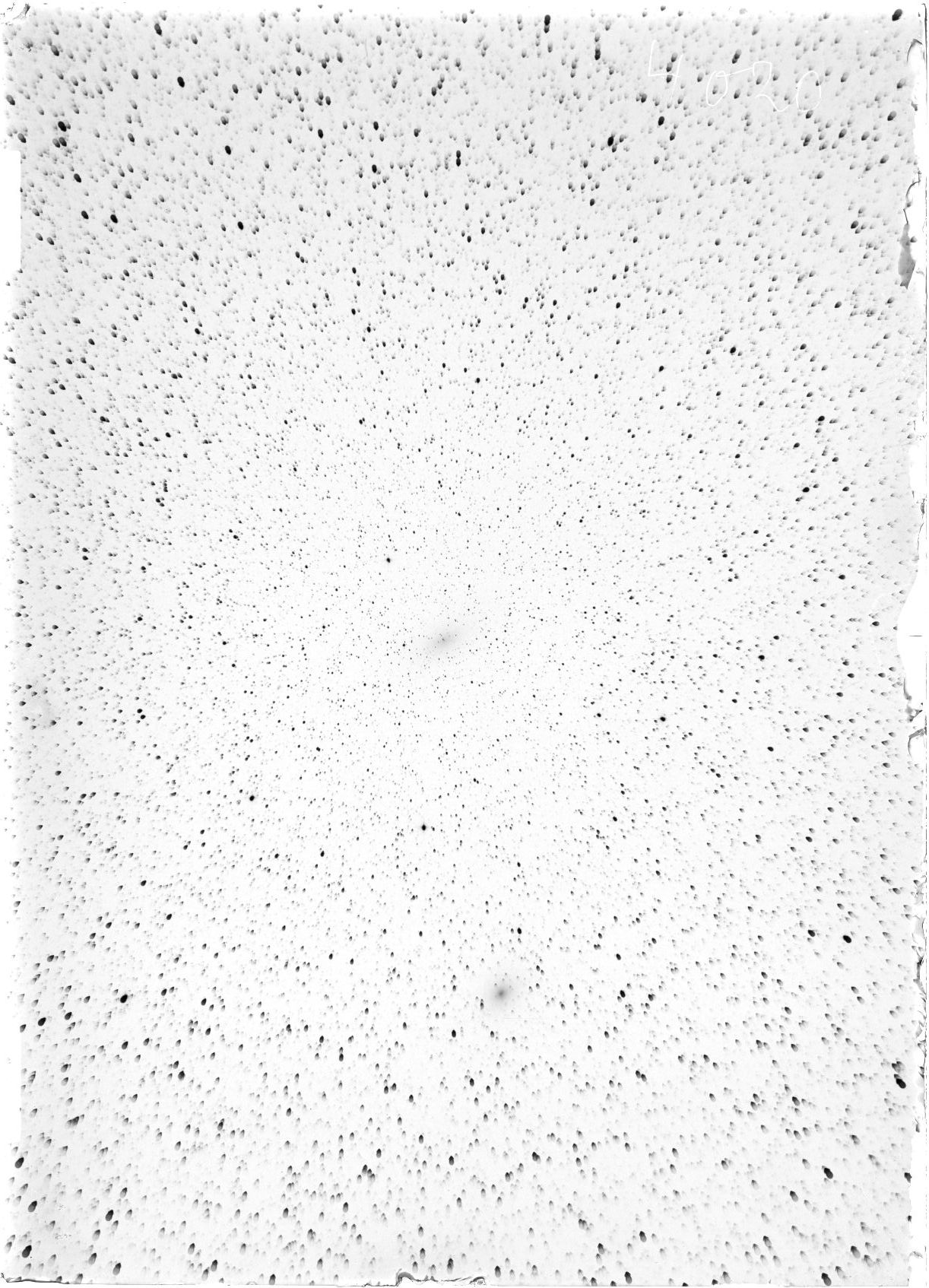Scan ST04020