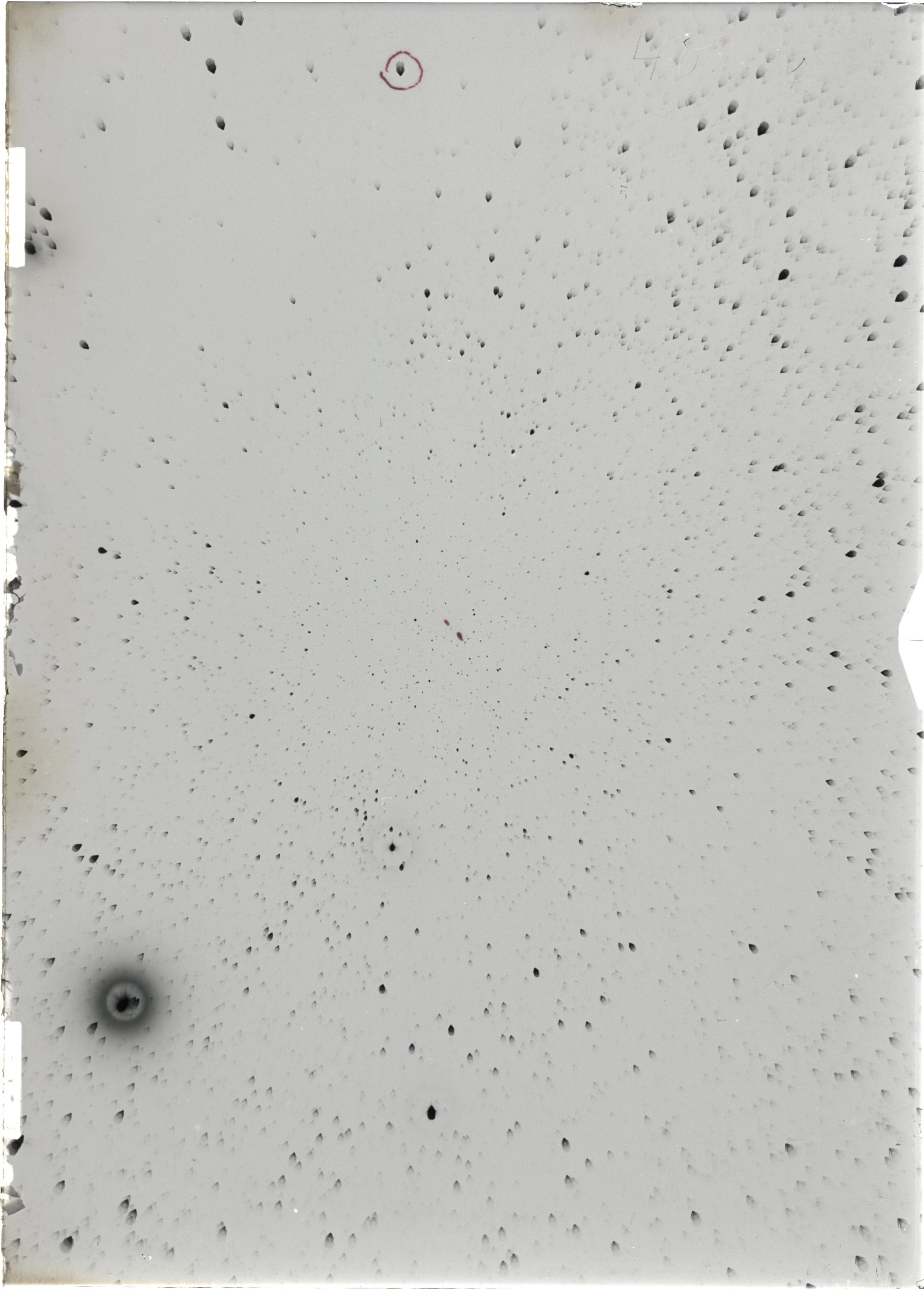 Scan ST04022