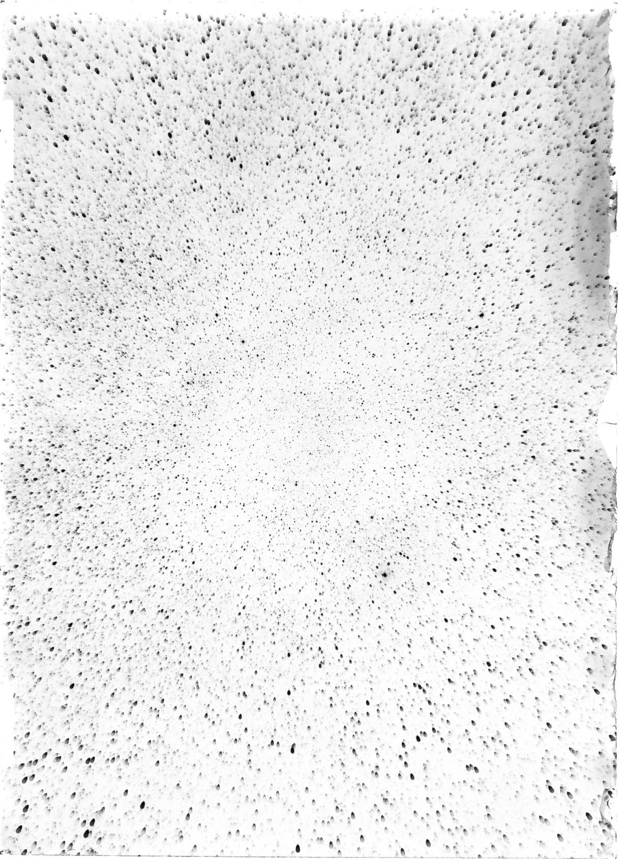 Scan ST04023