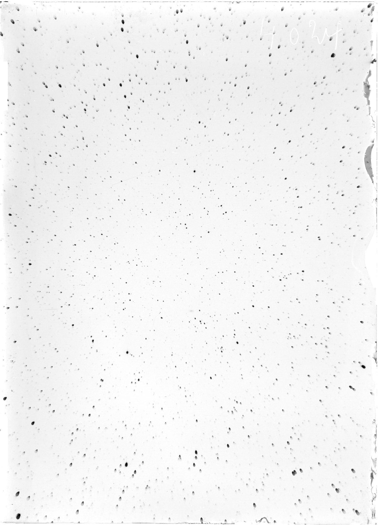 Scan ST04024