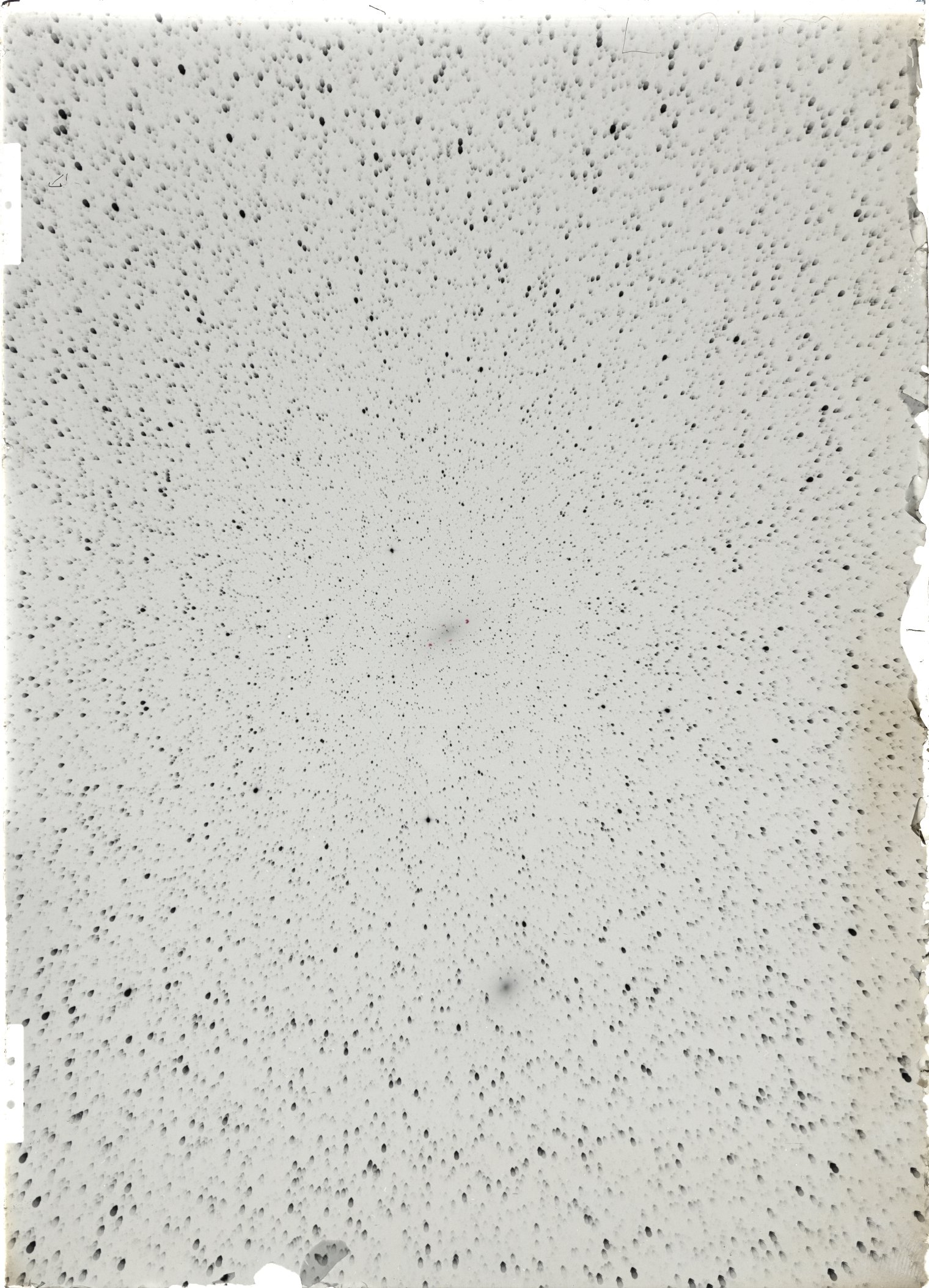 Scan ST04025