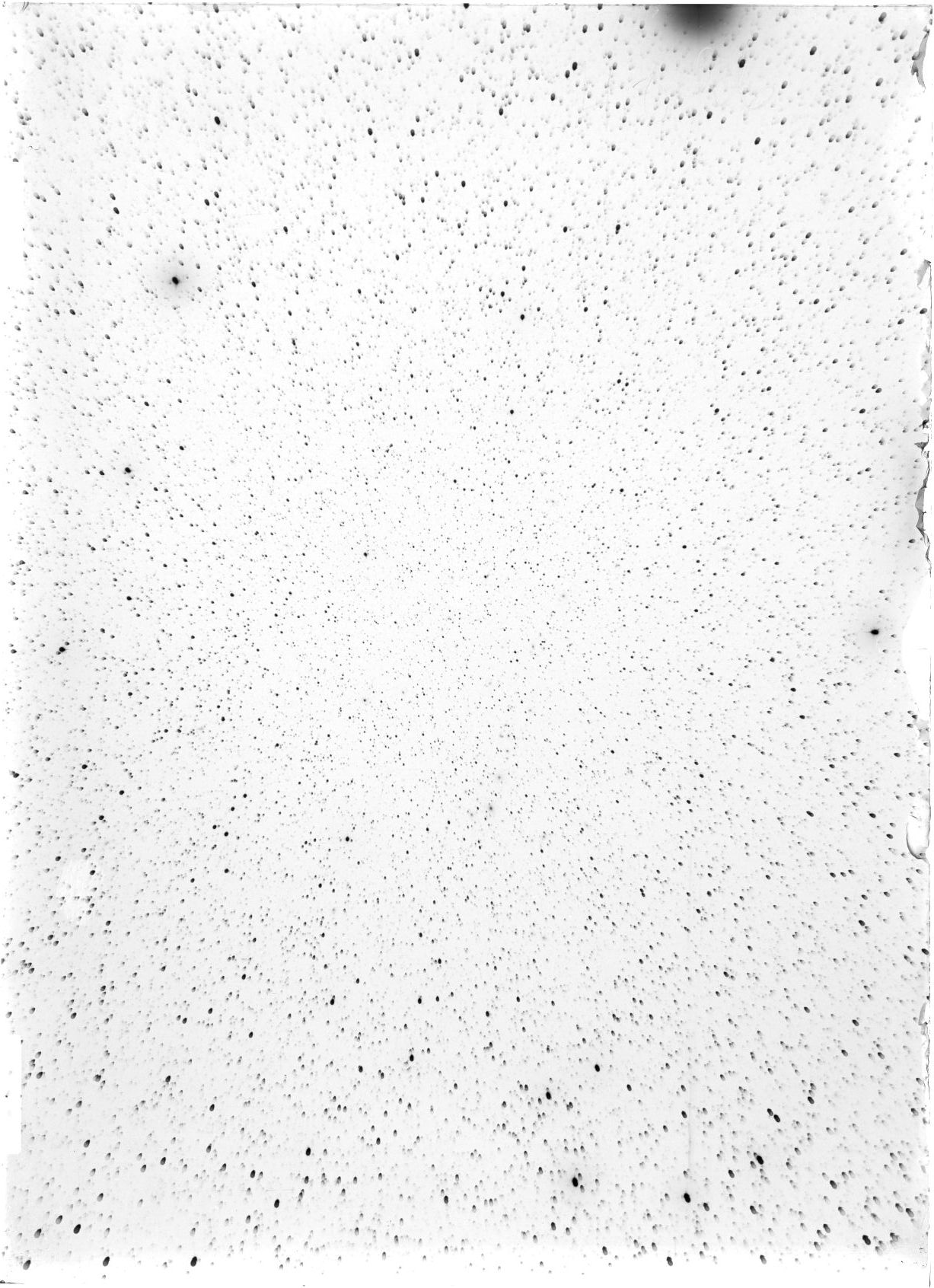 Scan ST04026