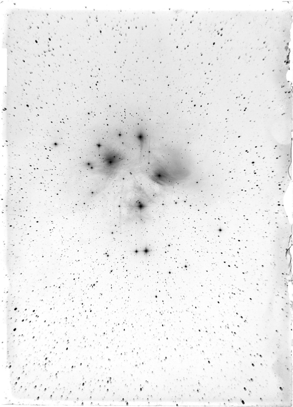 Scan ST04028