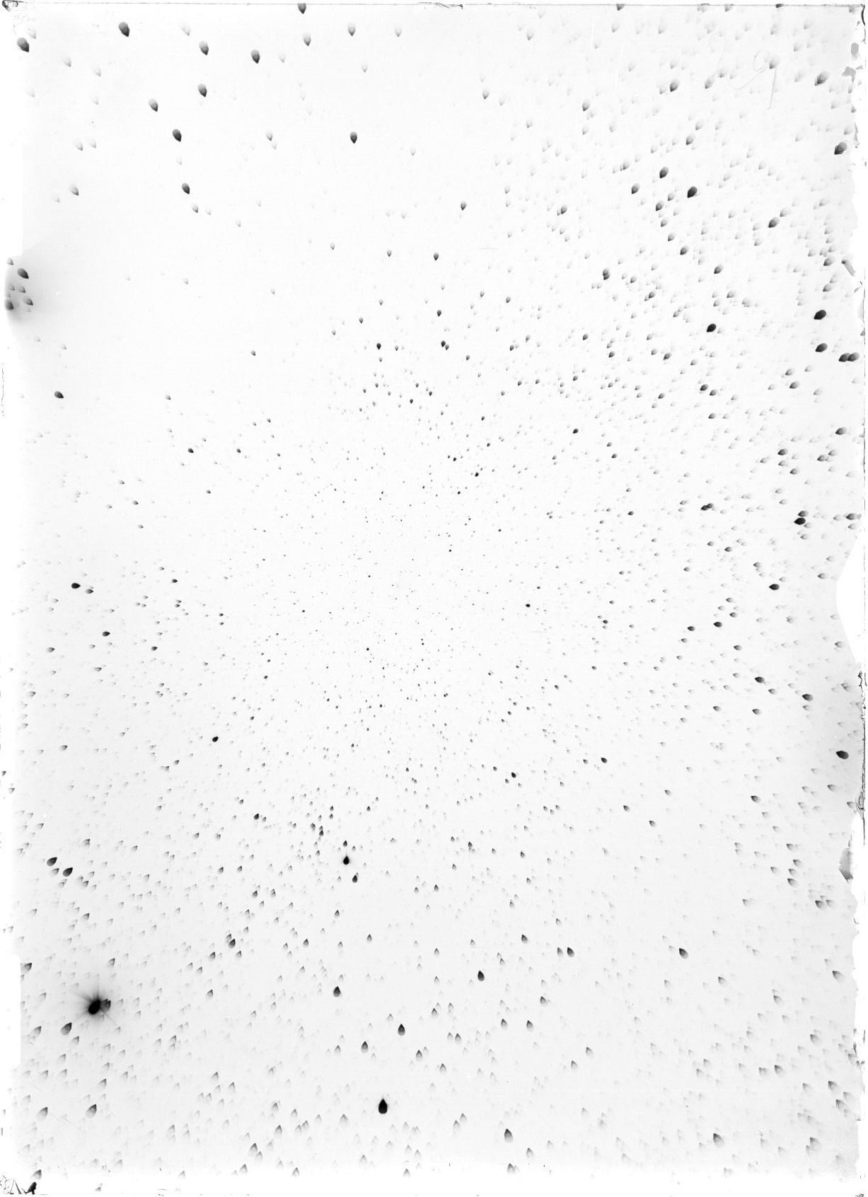 Scan ST04029