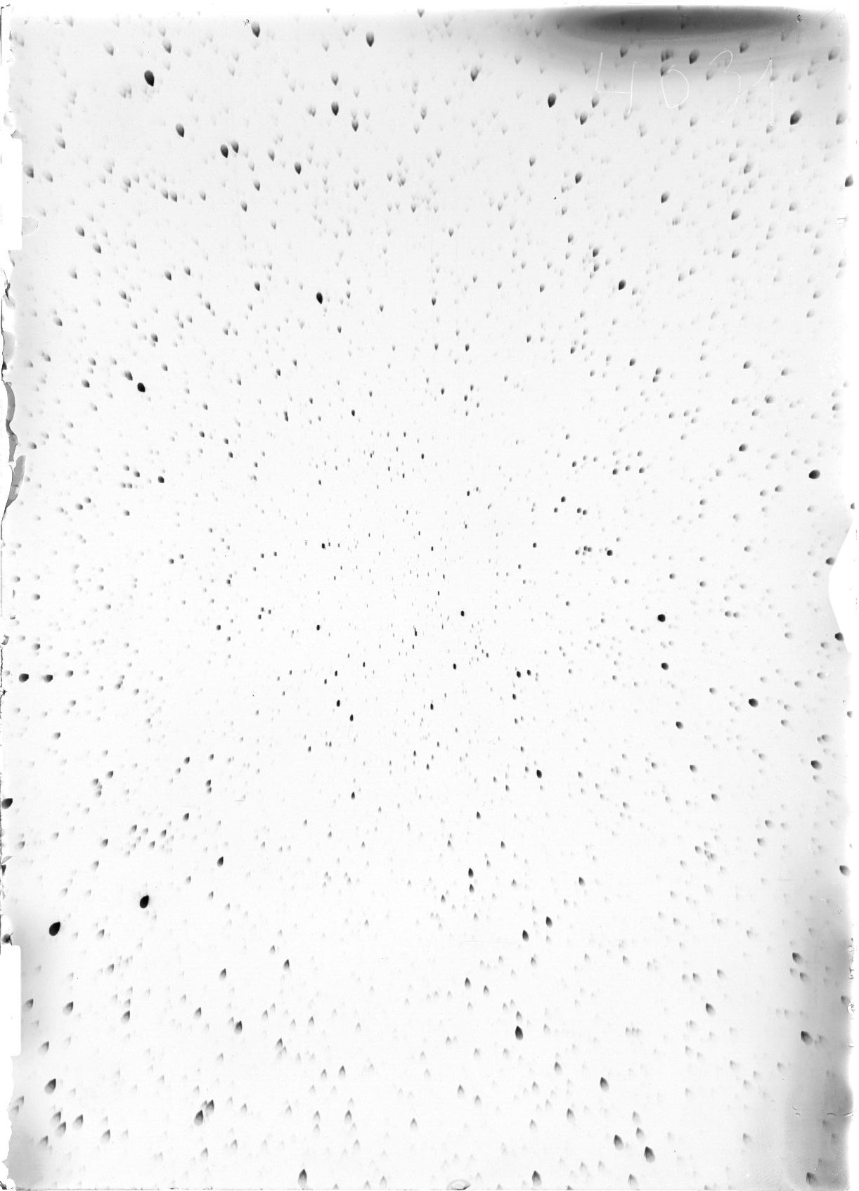 Scan ST04031
