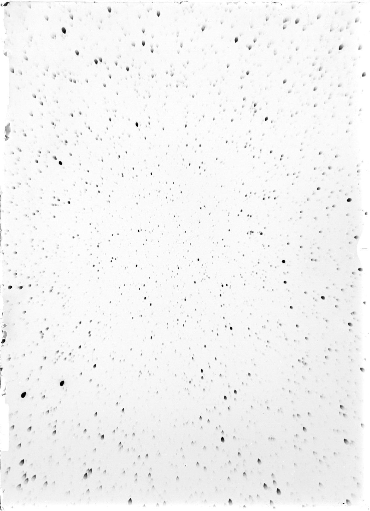 Scan ST04032
