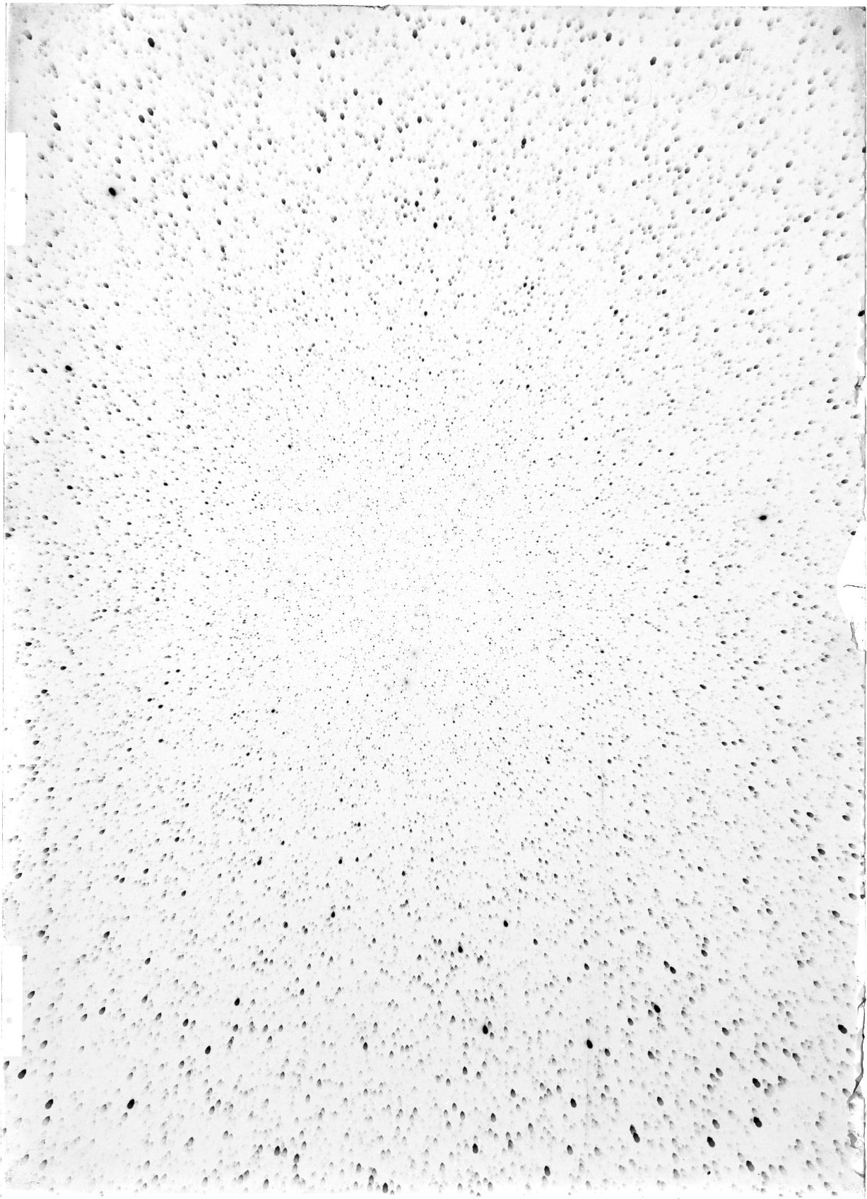Scan ST04037