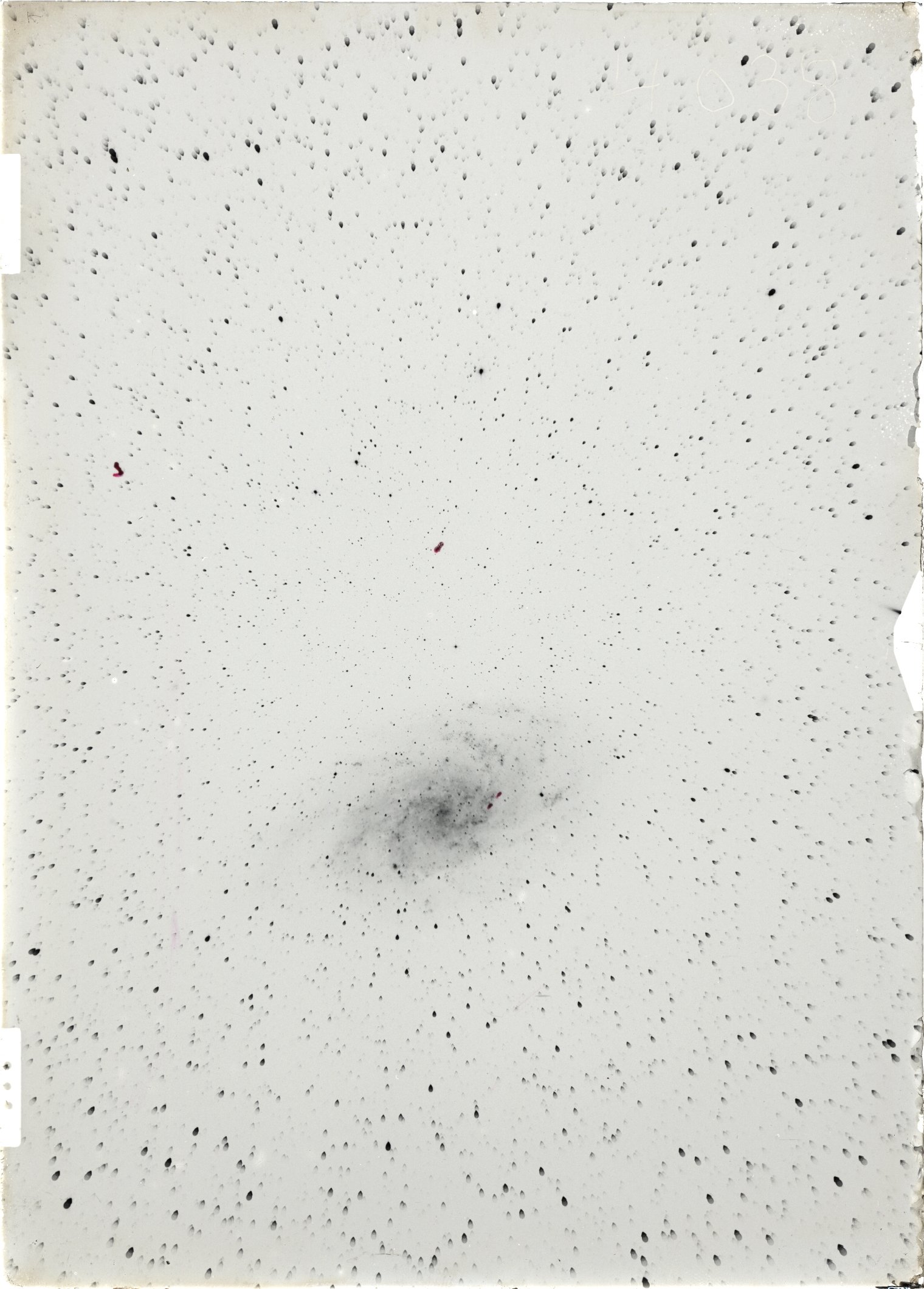 Scan ST04038