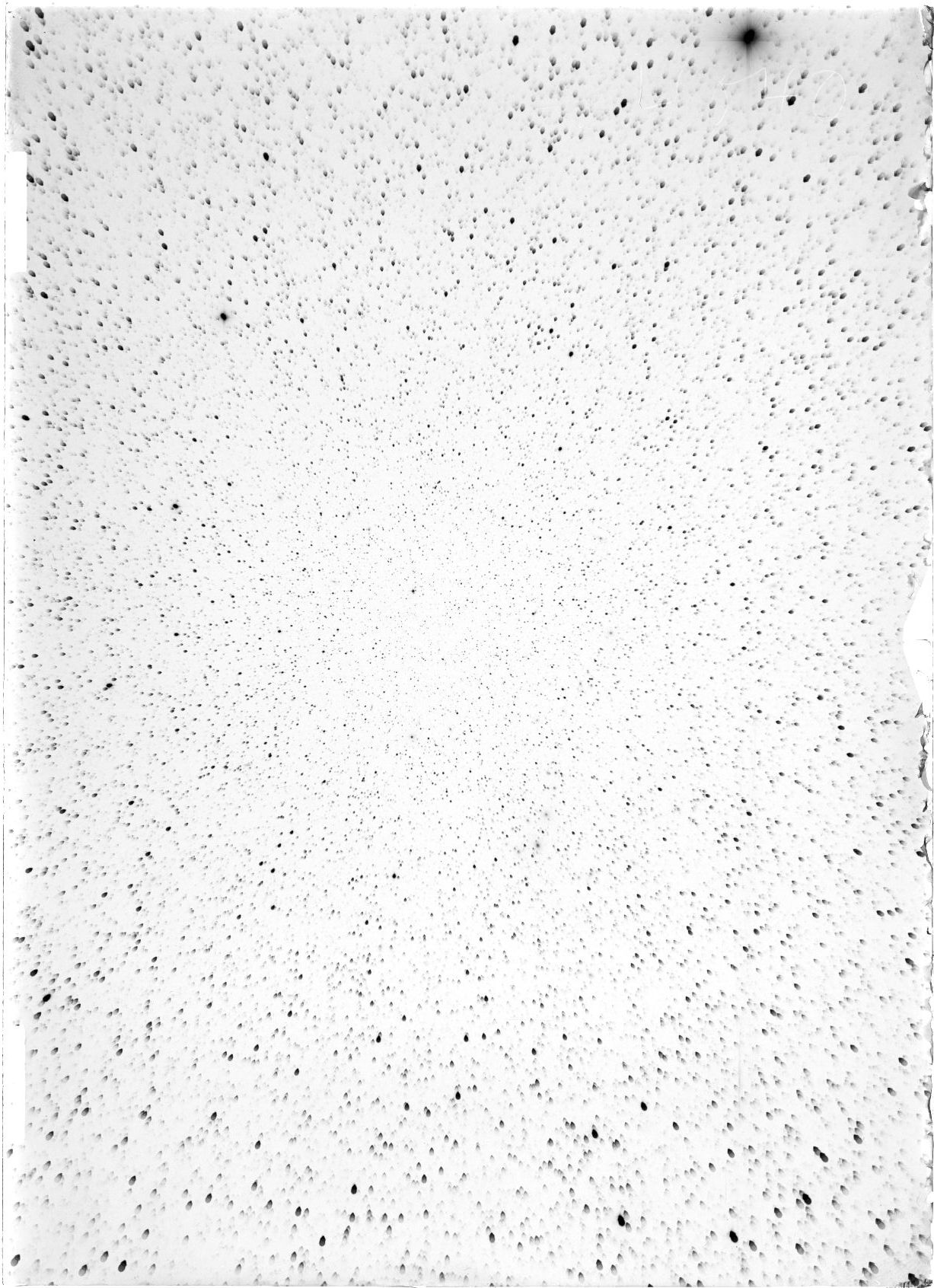 Scan ST04040