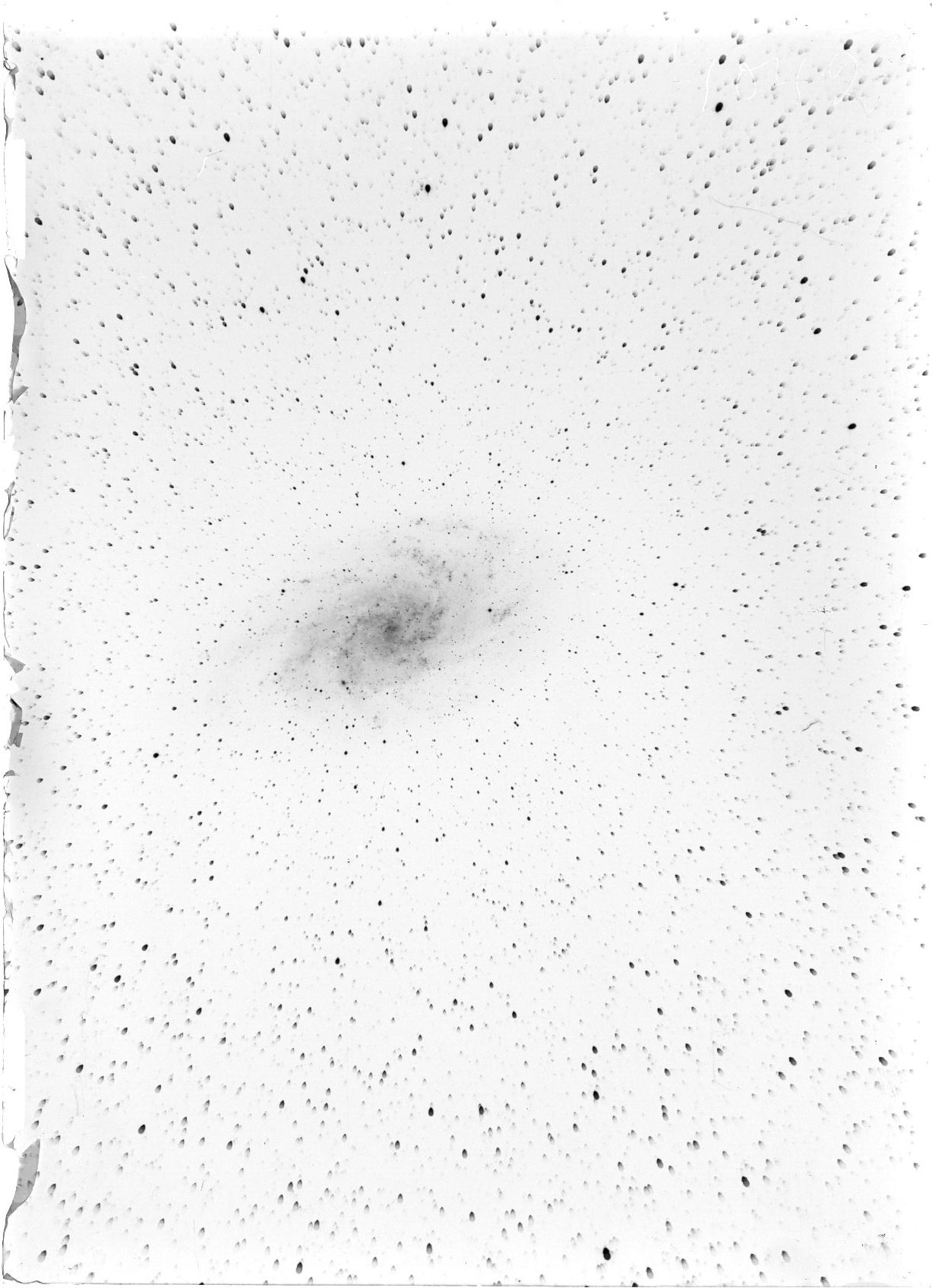 Scan ST04042