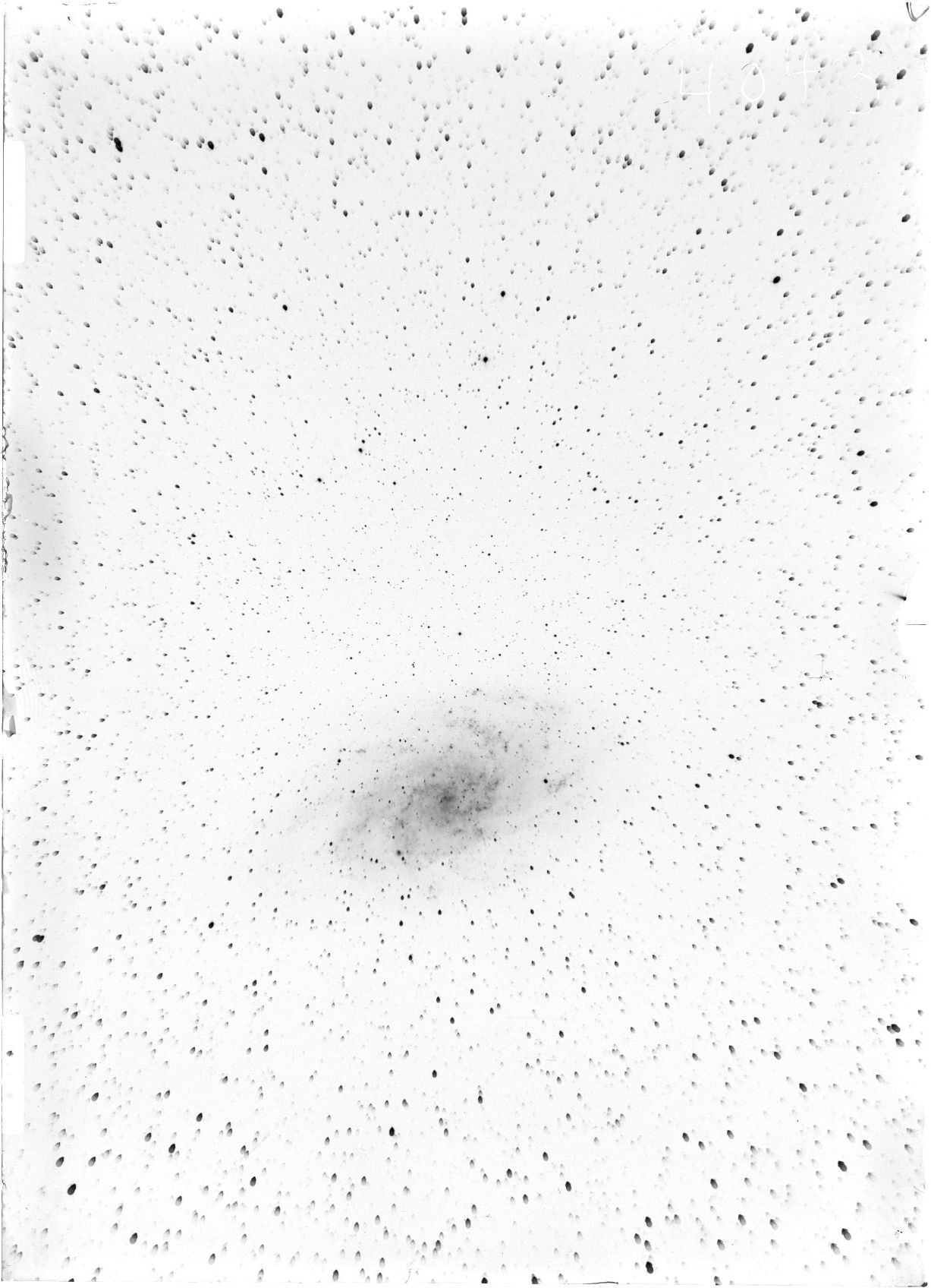 Scan ST04043