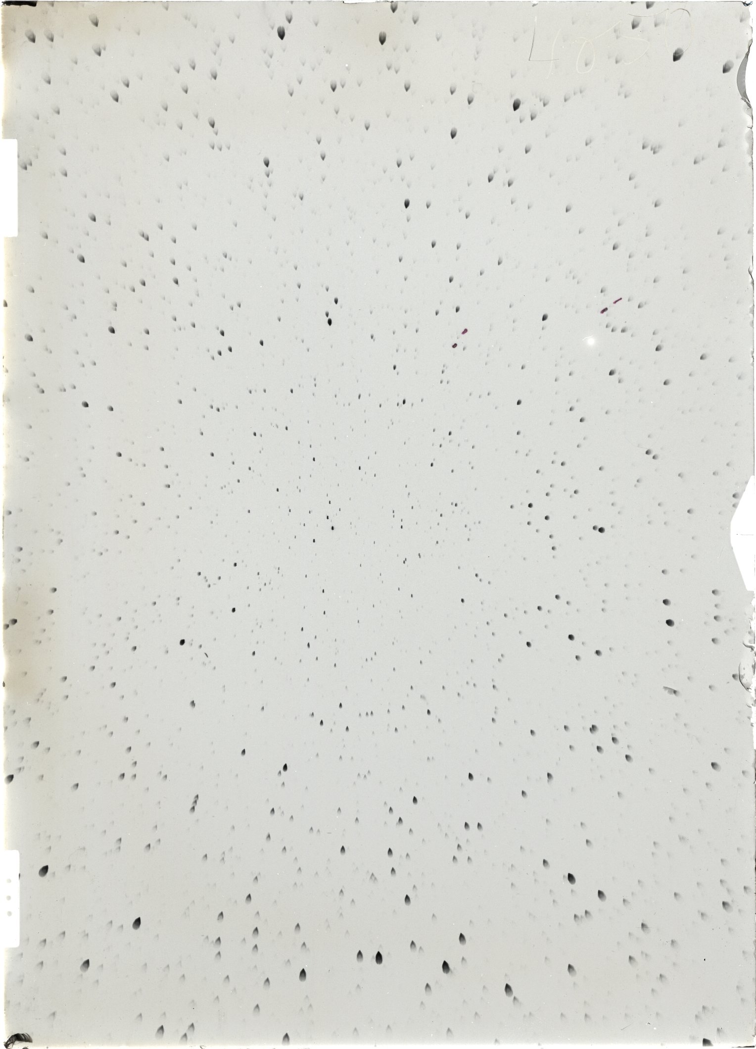 Scan ST04050