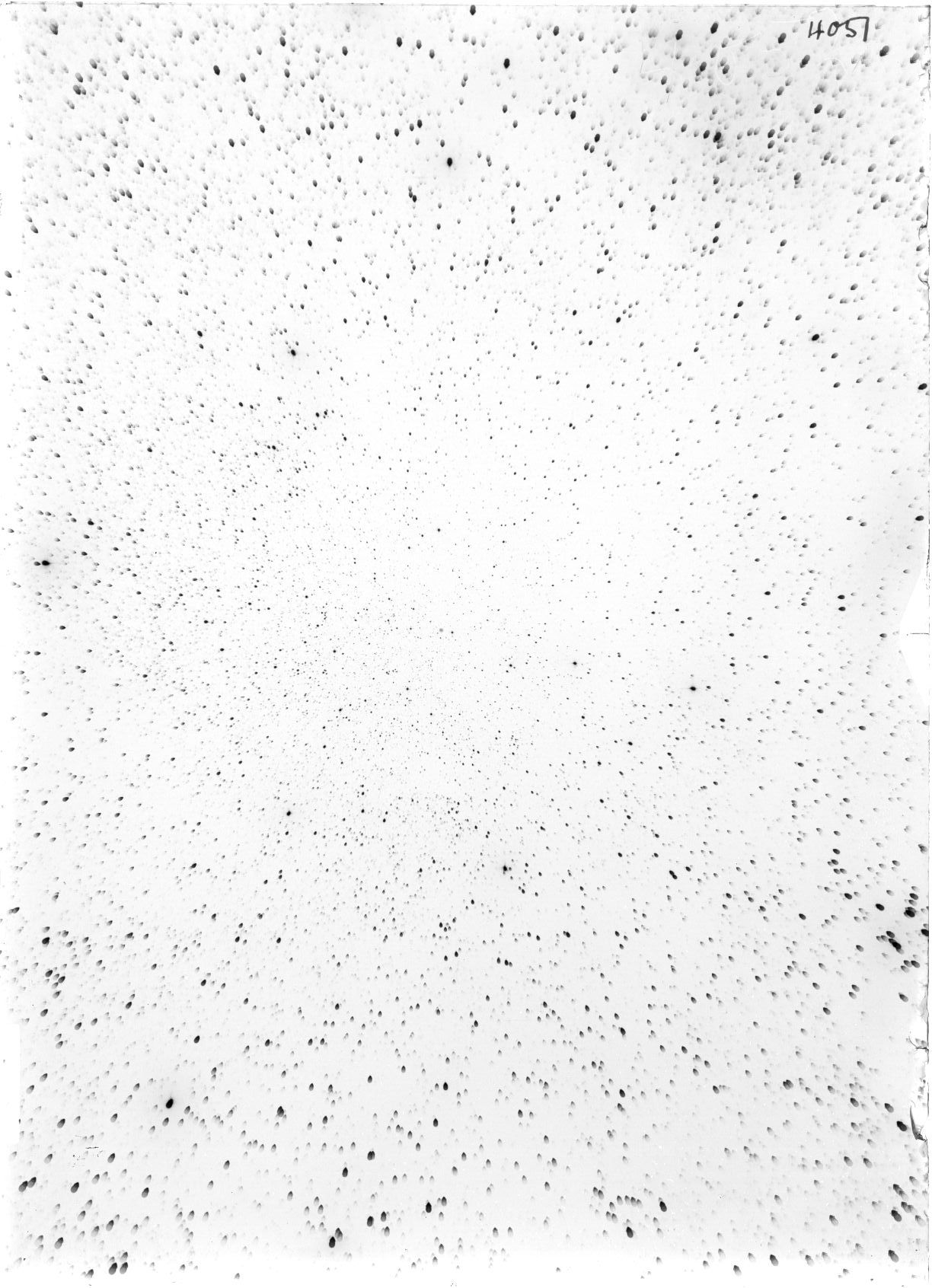 Scan ST04051