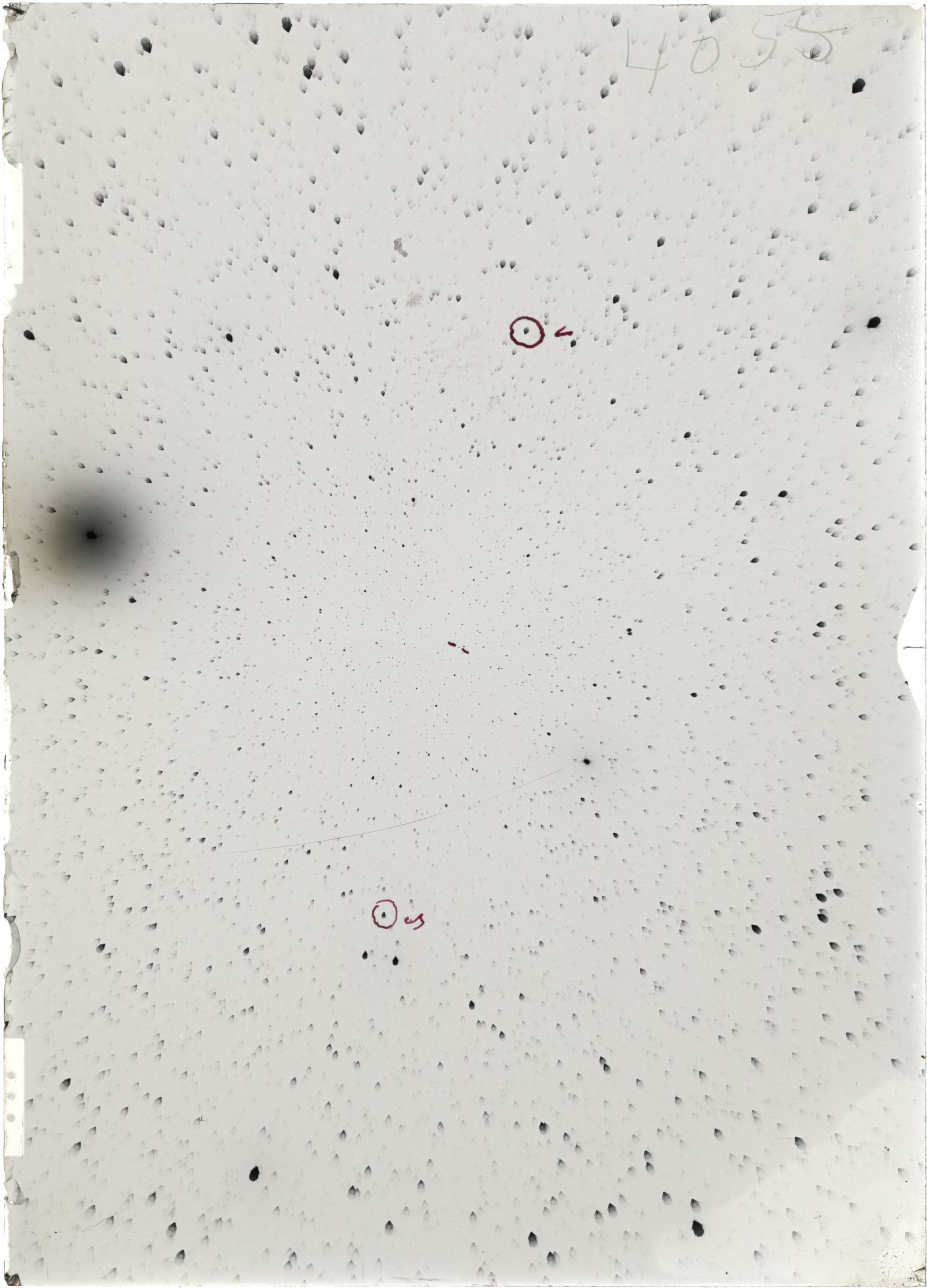Scan ST04055