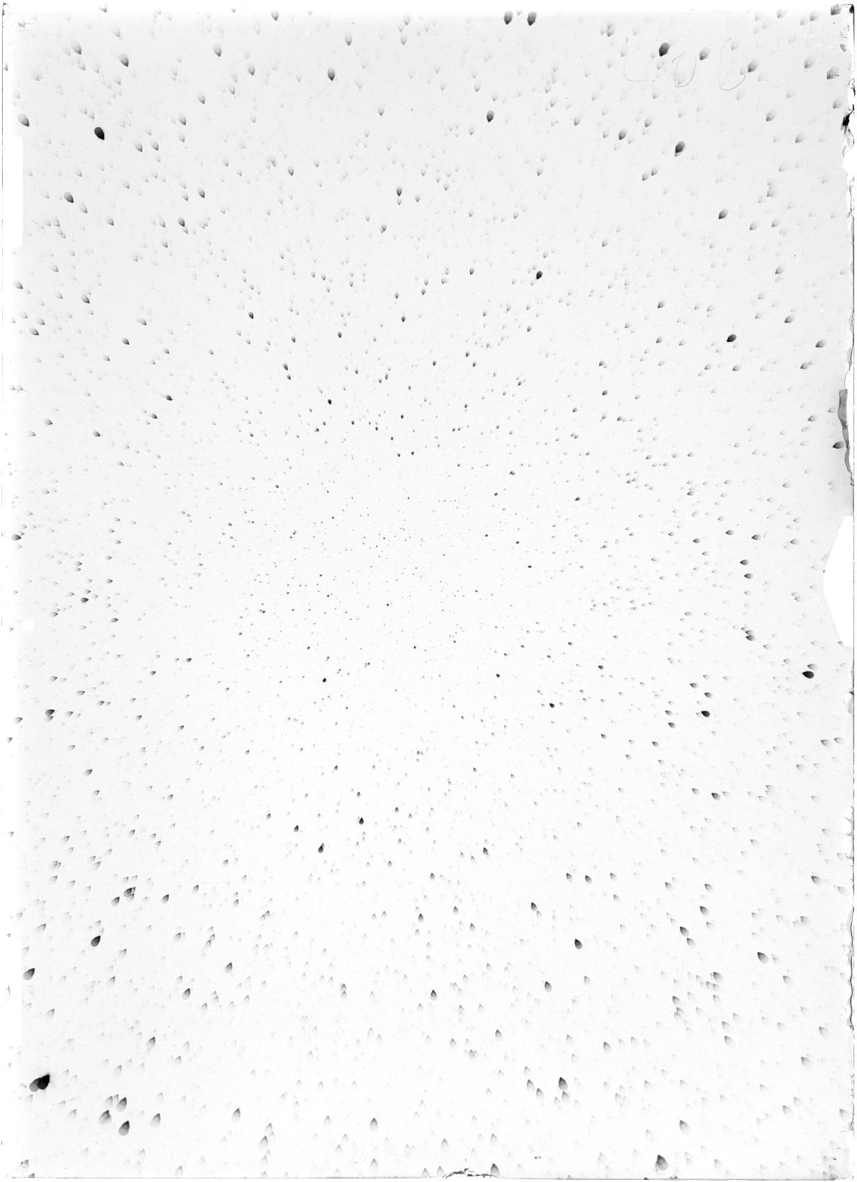 Scan ST04063