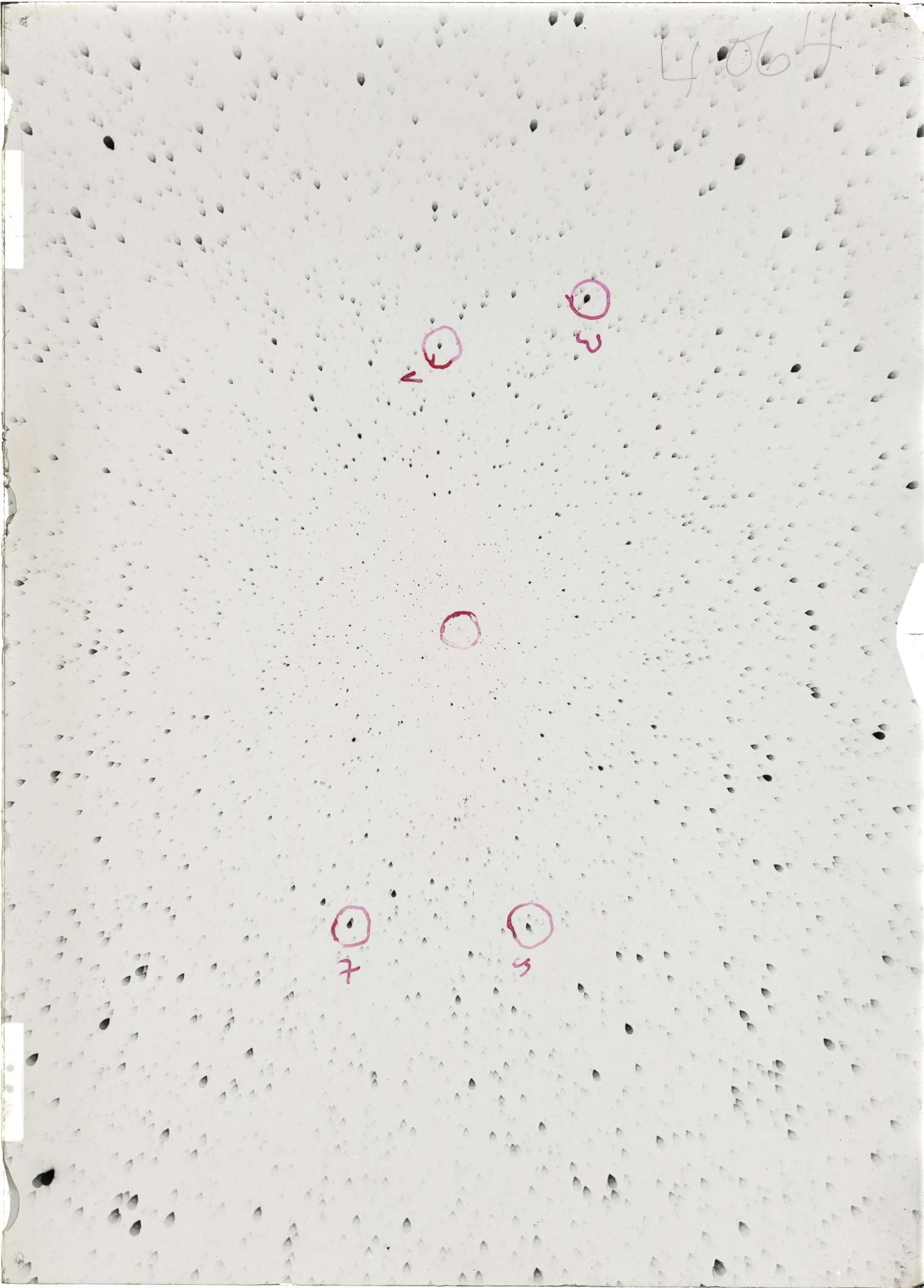 Scan ST04064