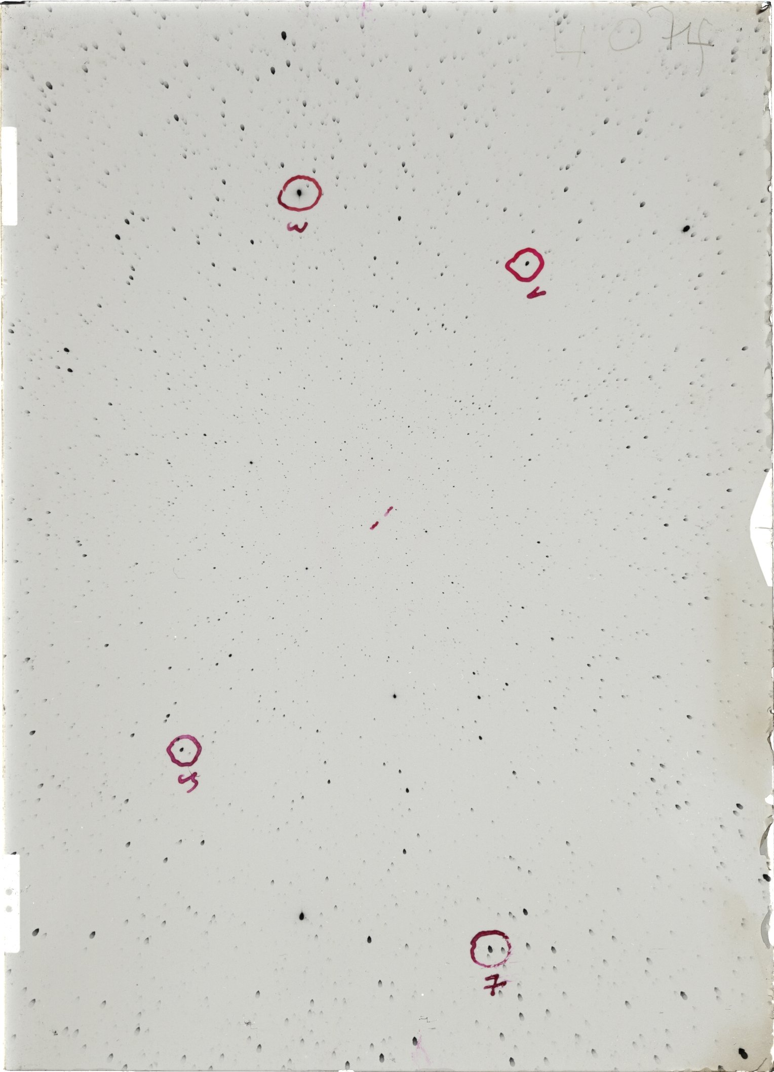 Scan ST04074