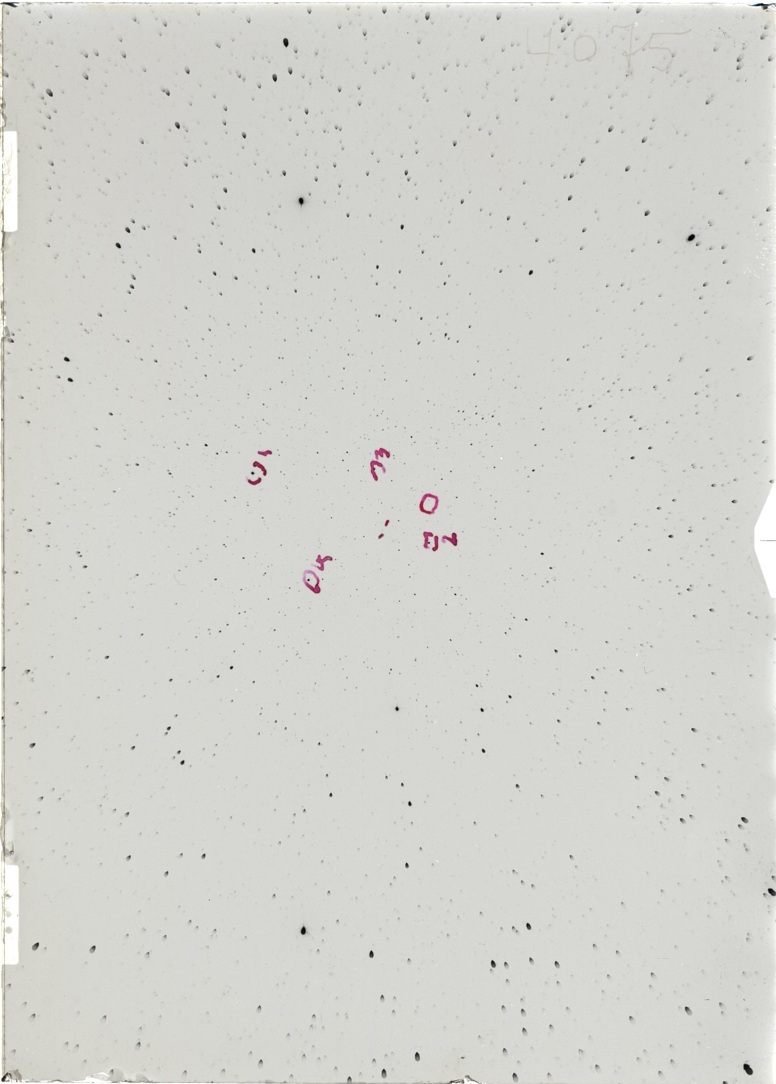 Scan ST04075