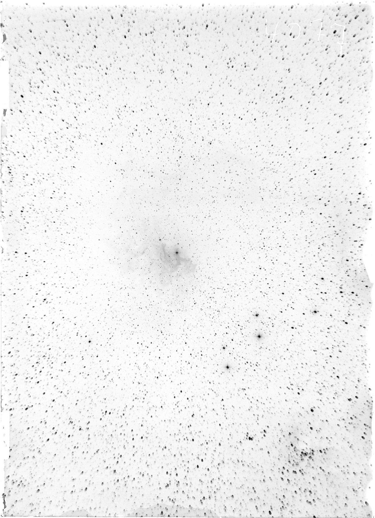 Scan ST04077