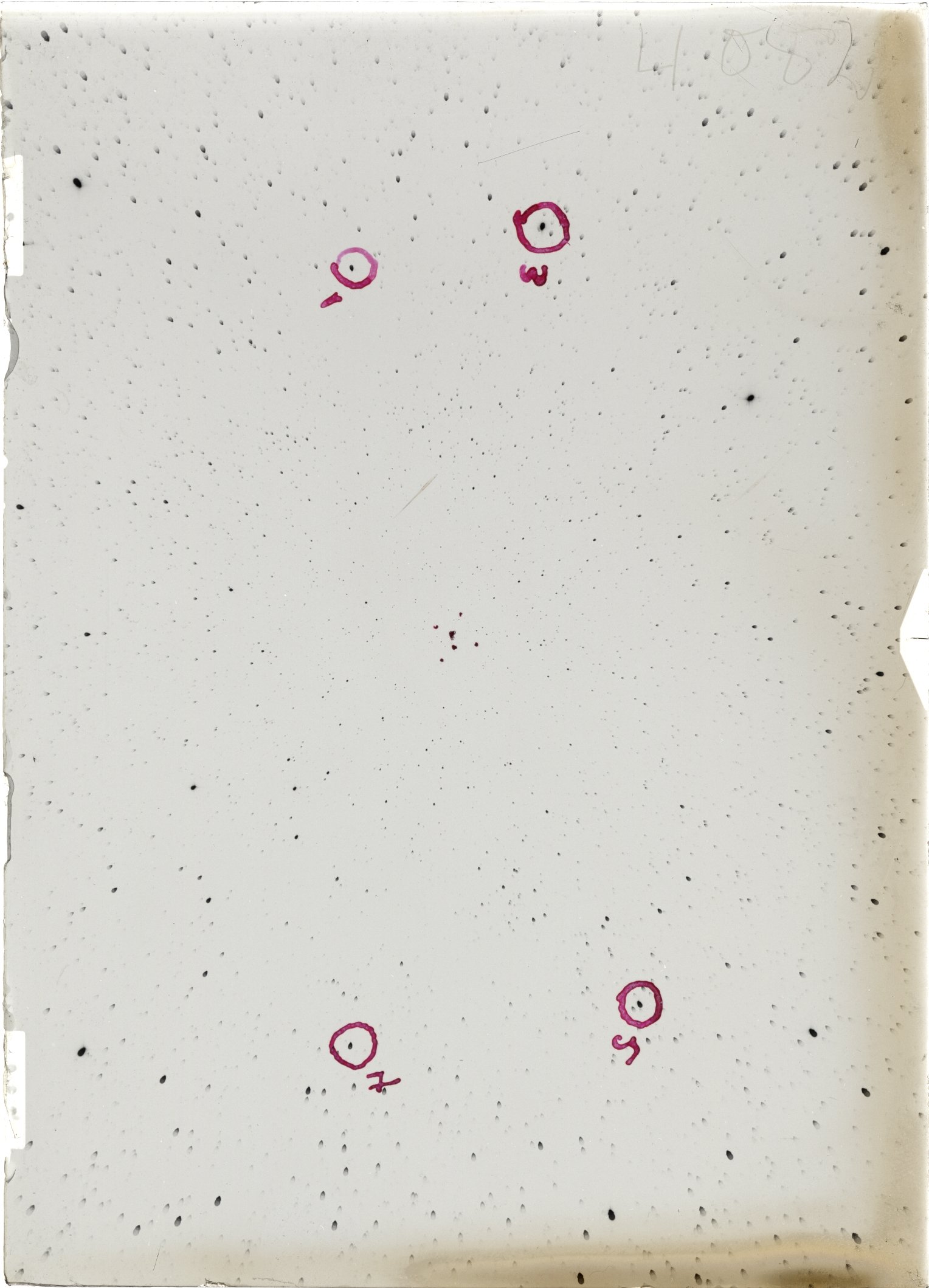 Scan ST04082