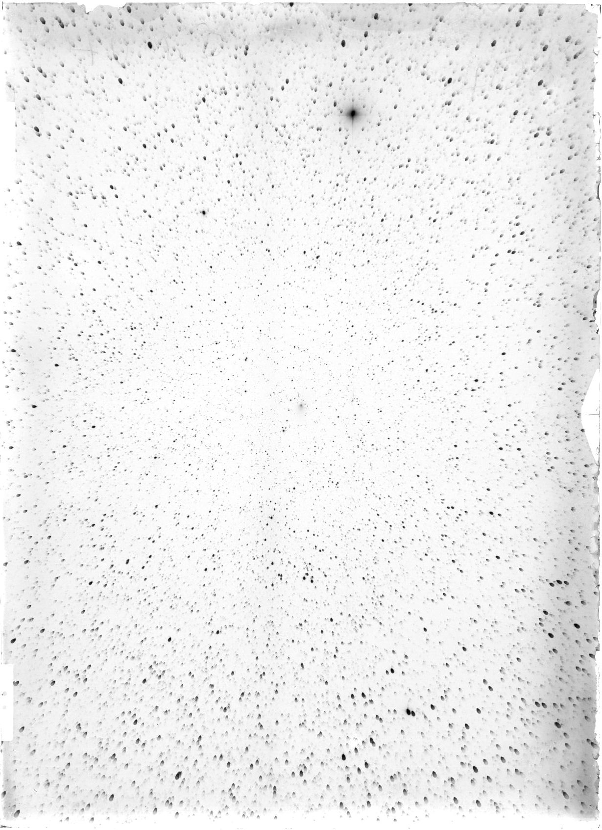 Scan ST04083
