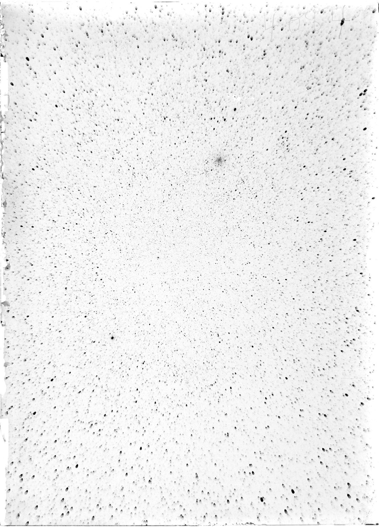 Scan ST04084