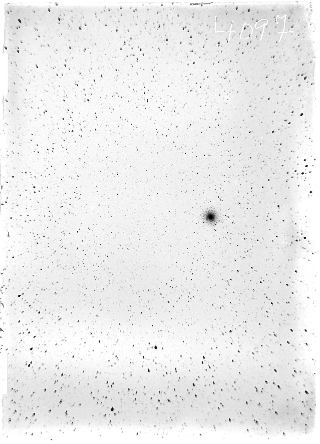 Scan ST04097