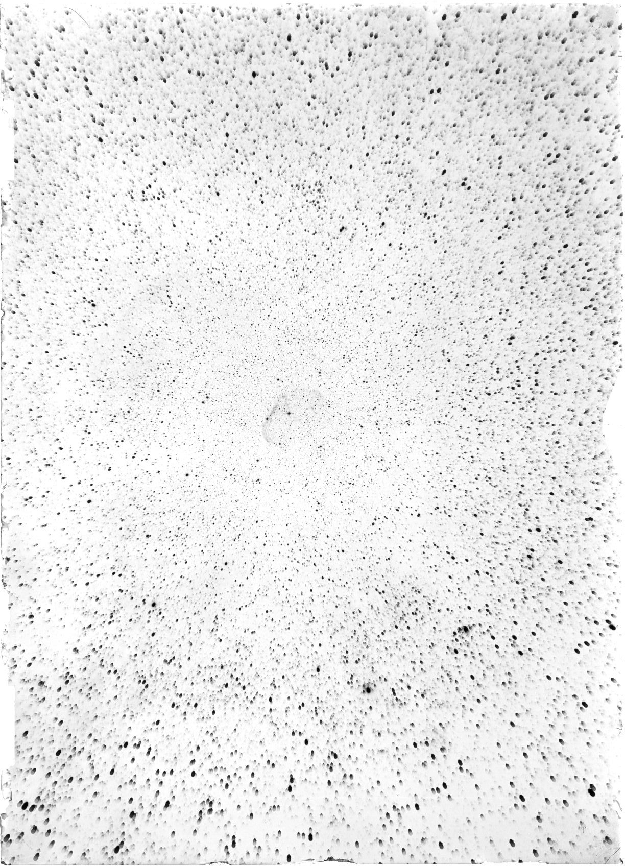 Scan ST04116