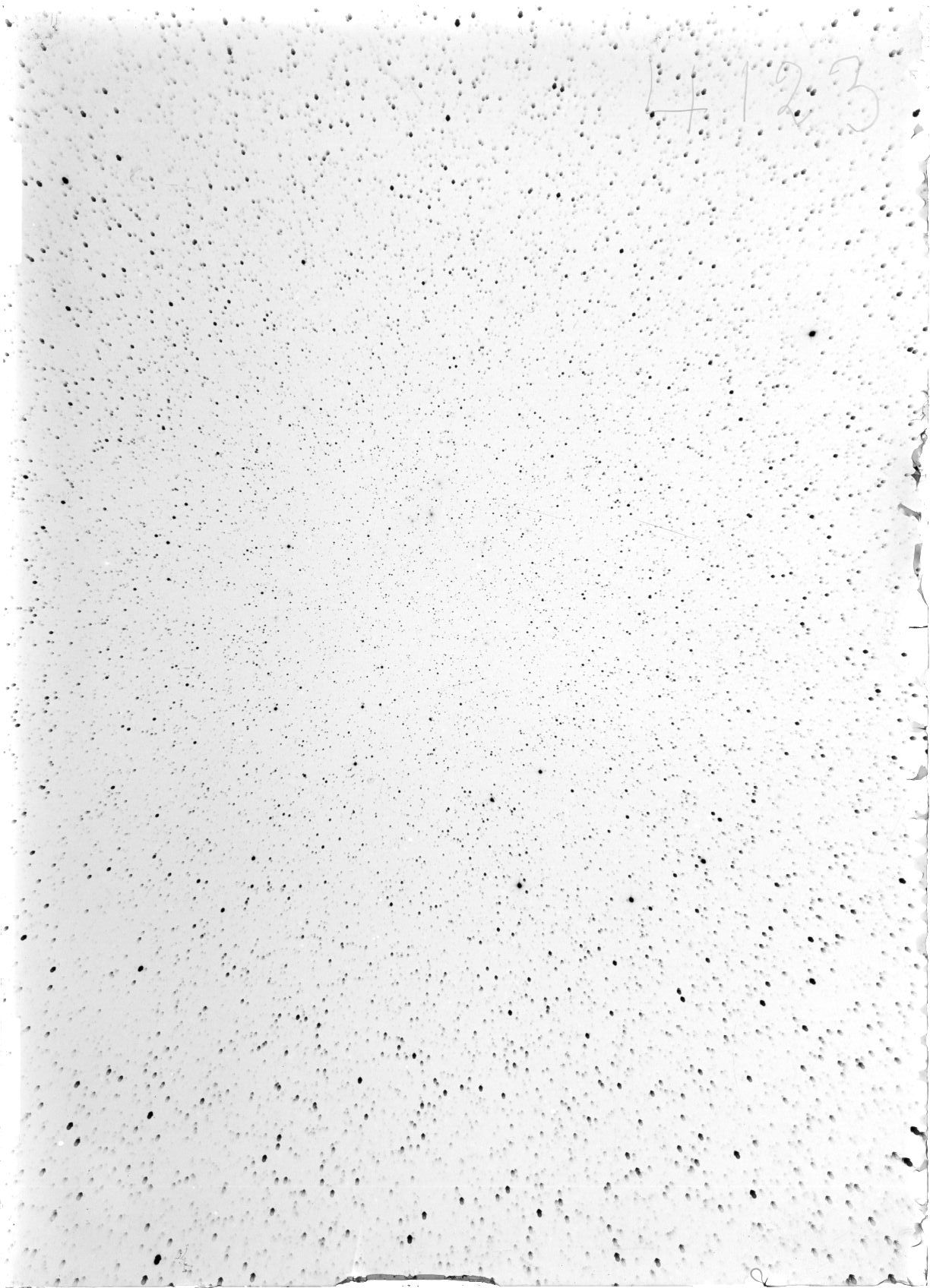 Scan ST04123
