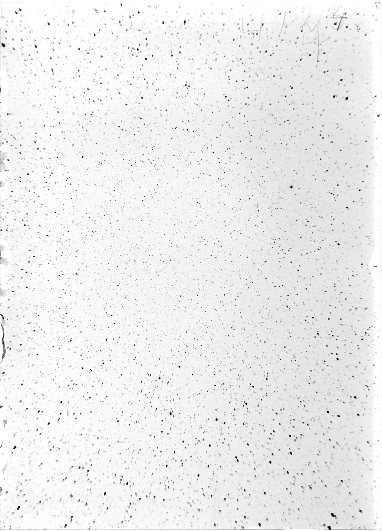 Scan ST04124