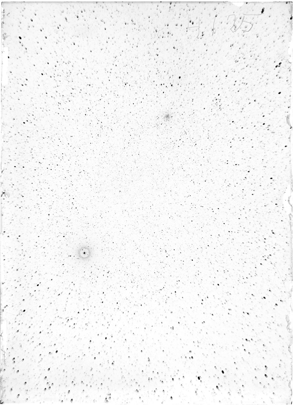 Scan ST04125