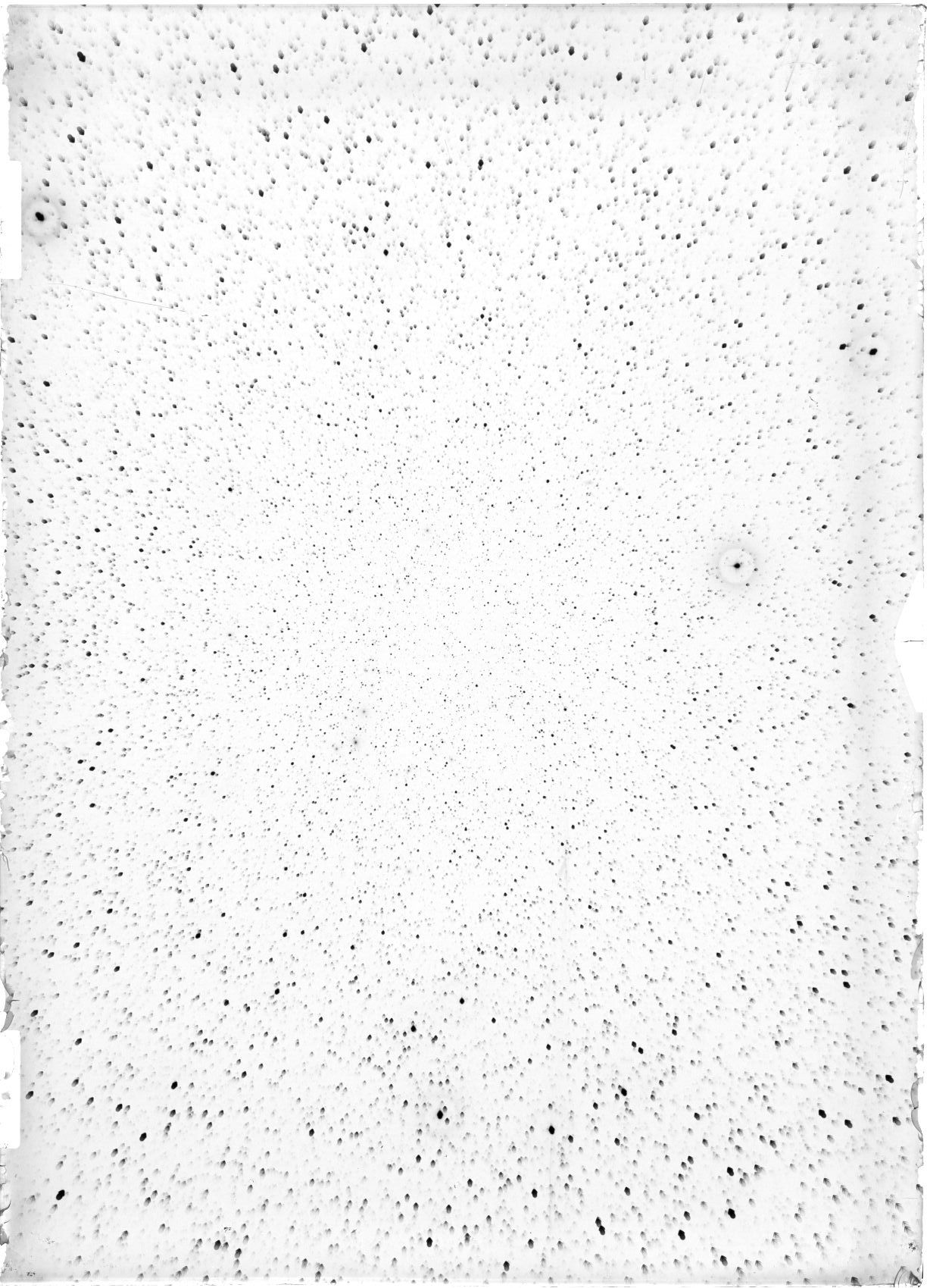 Scan ST04154