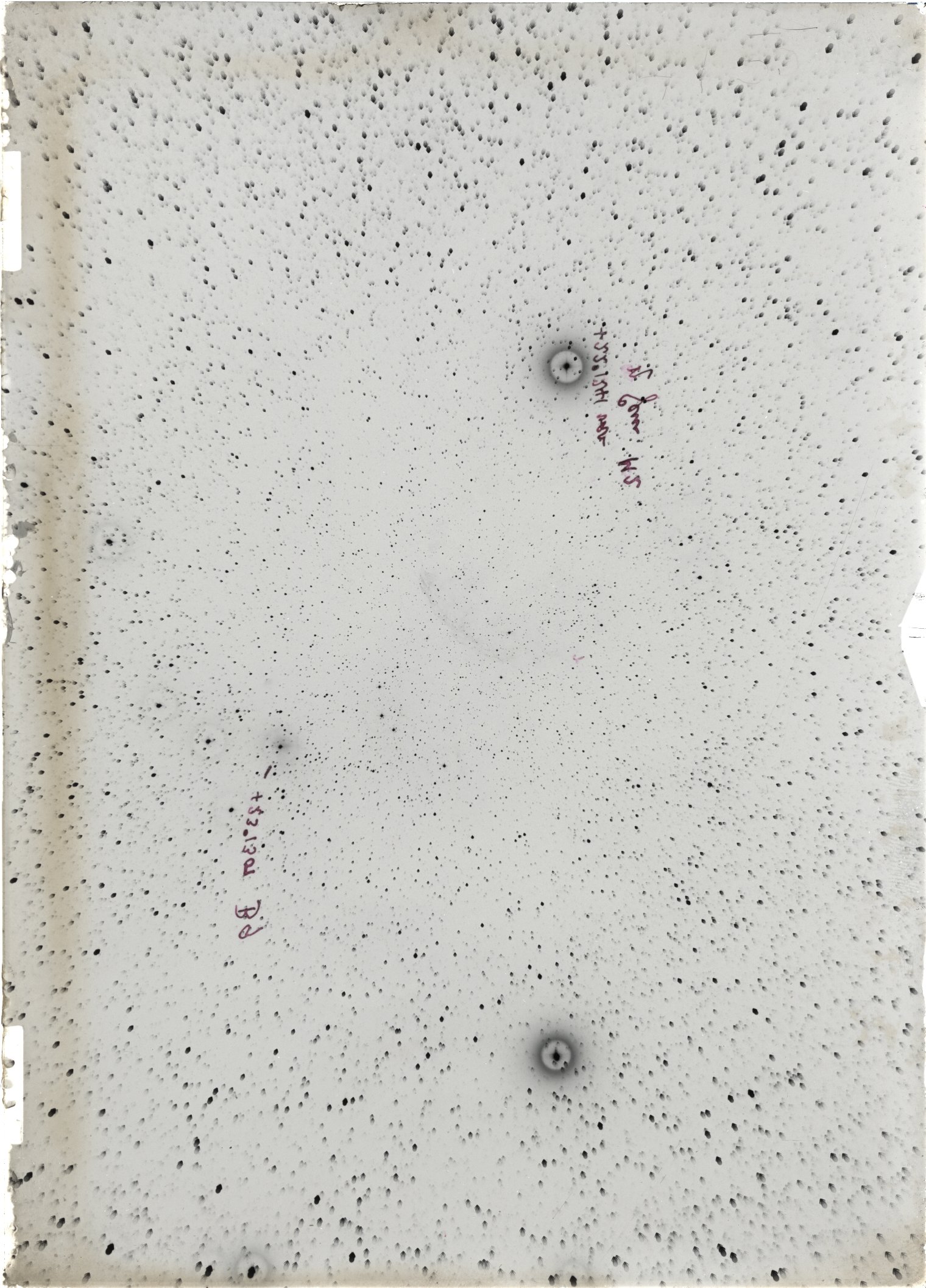 Scan ST04155