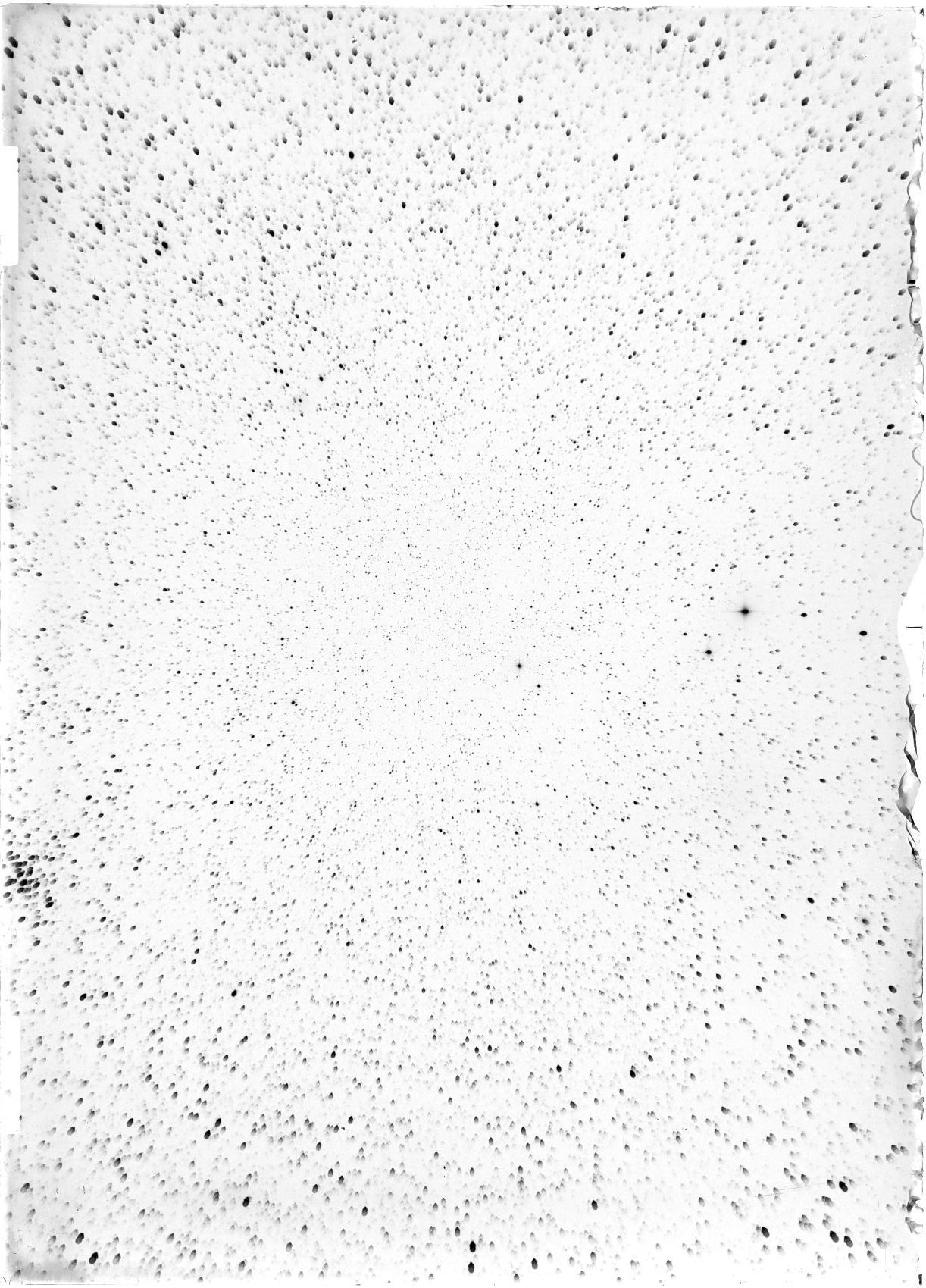 Scan ST04167