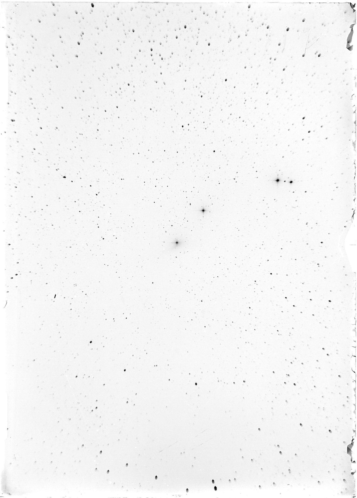 Scan ST04175