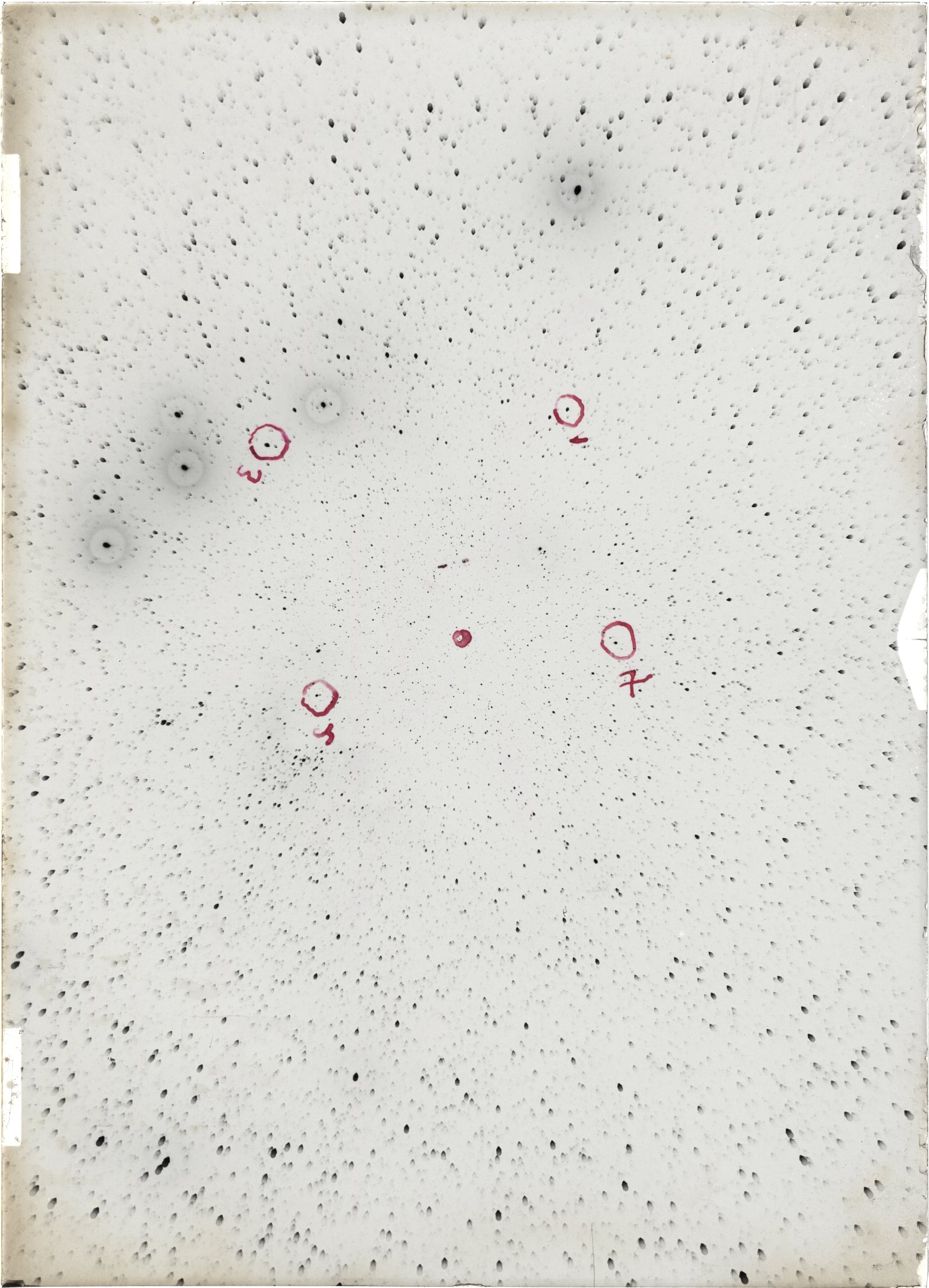 Scan ST04183