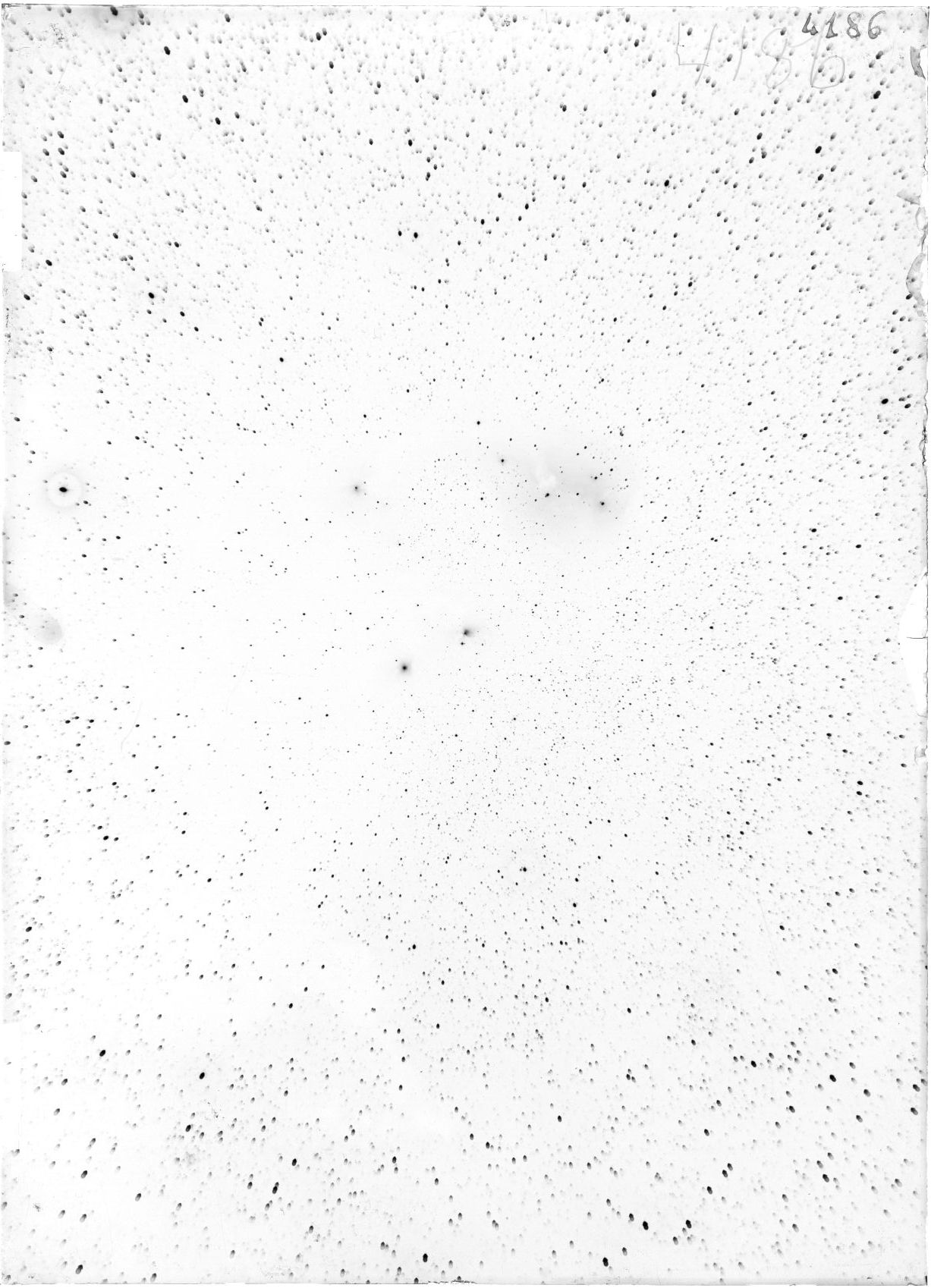 Scan ST04186