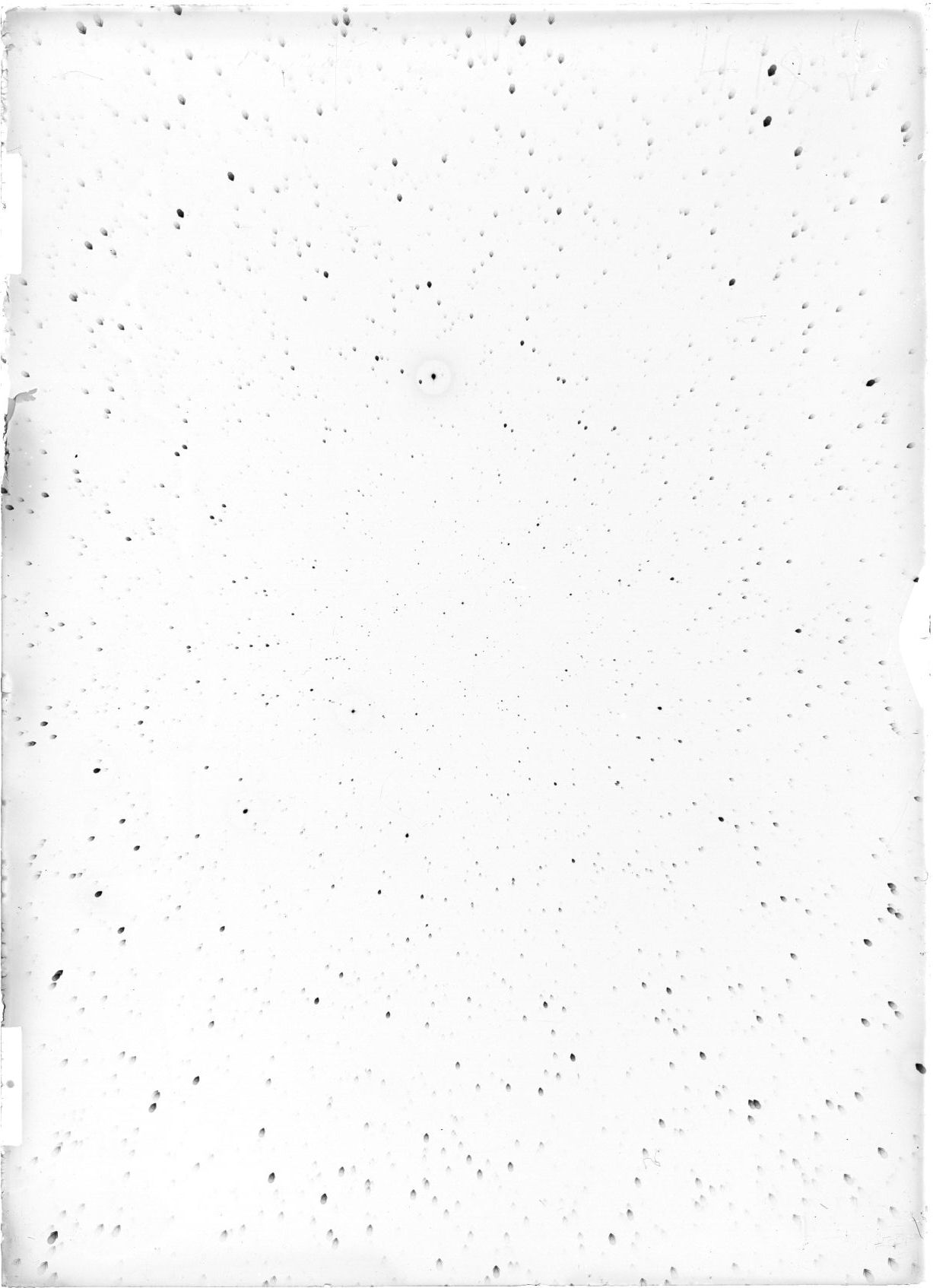 Scan ST04187
