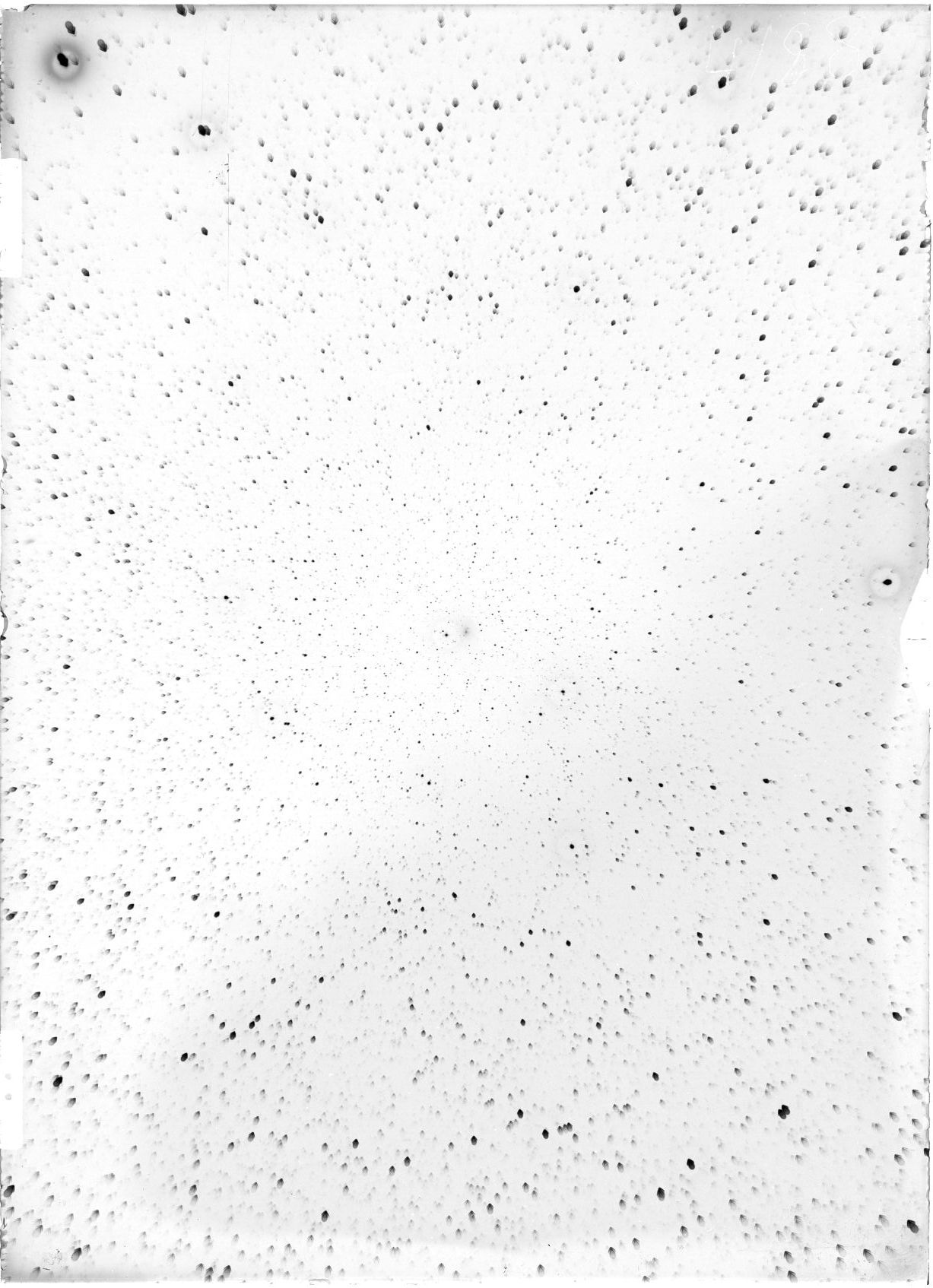 Scan ST04188