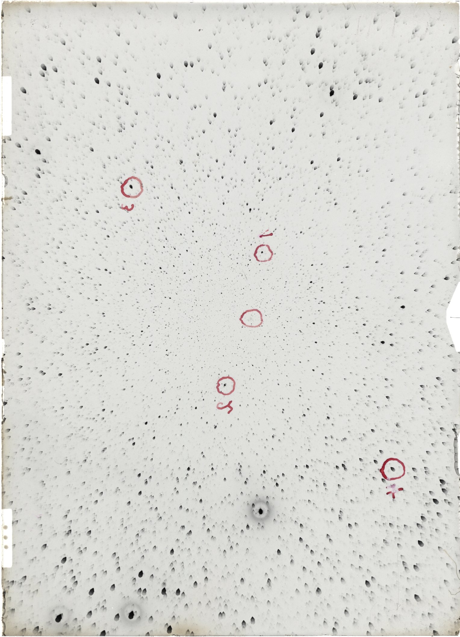 Scan ST04193