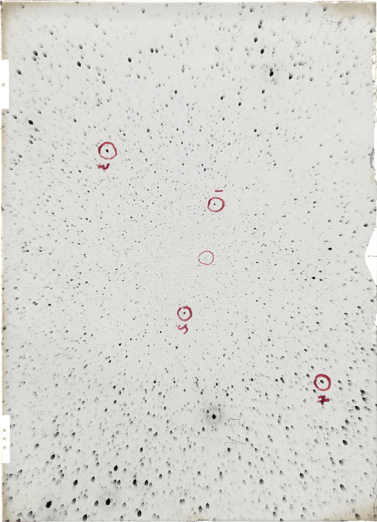 Scan ST04194