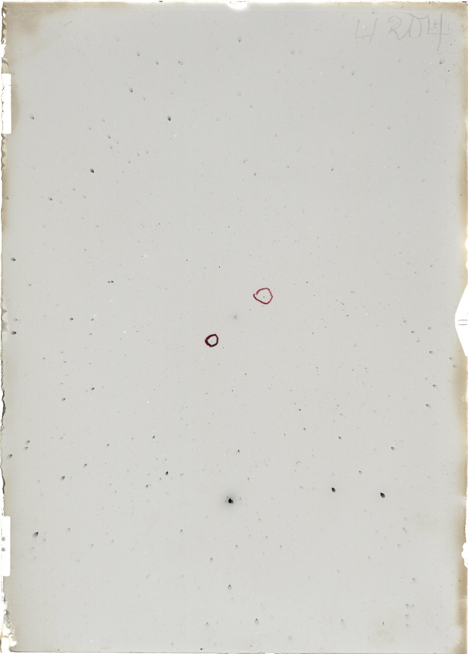 Scan ST04204
