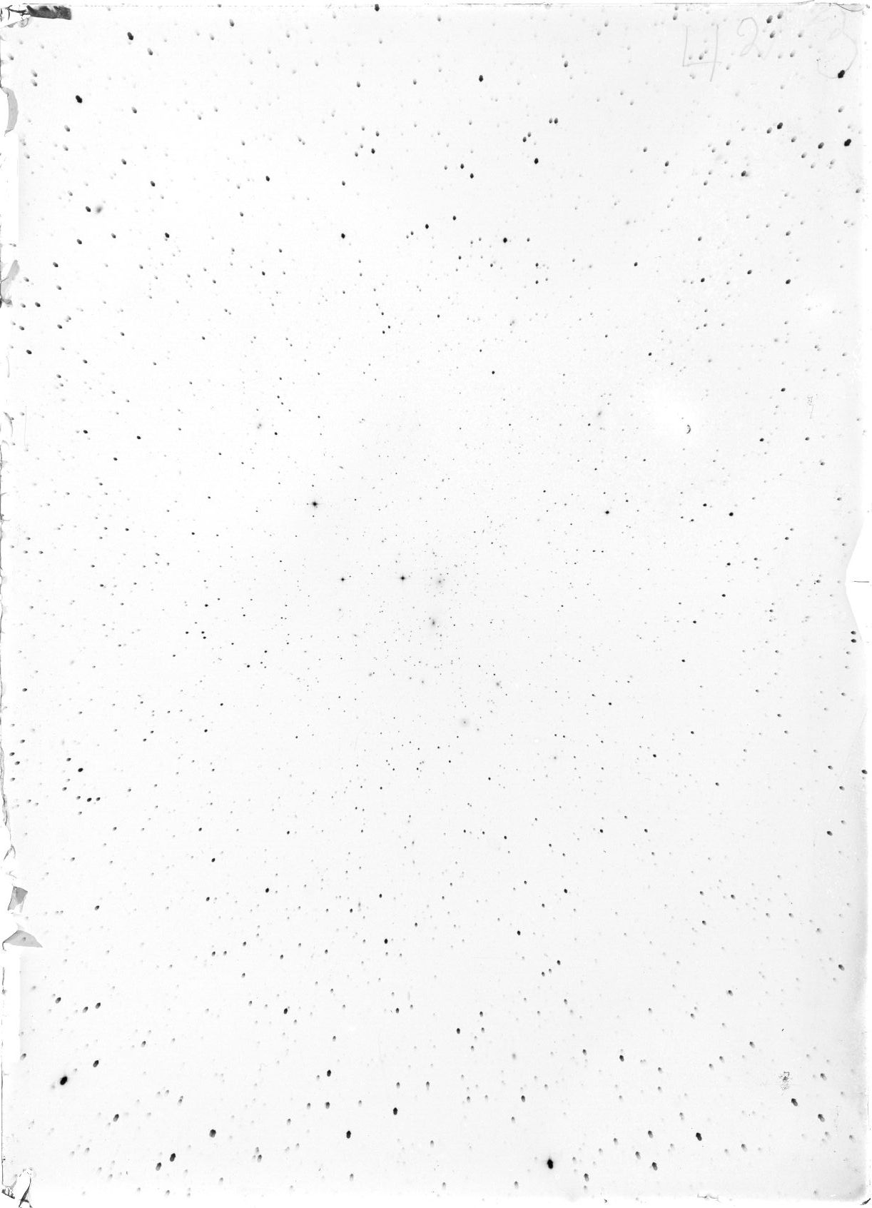 Scan ST04213