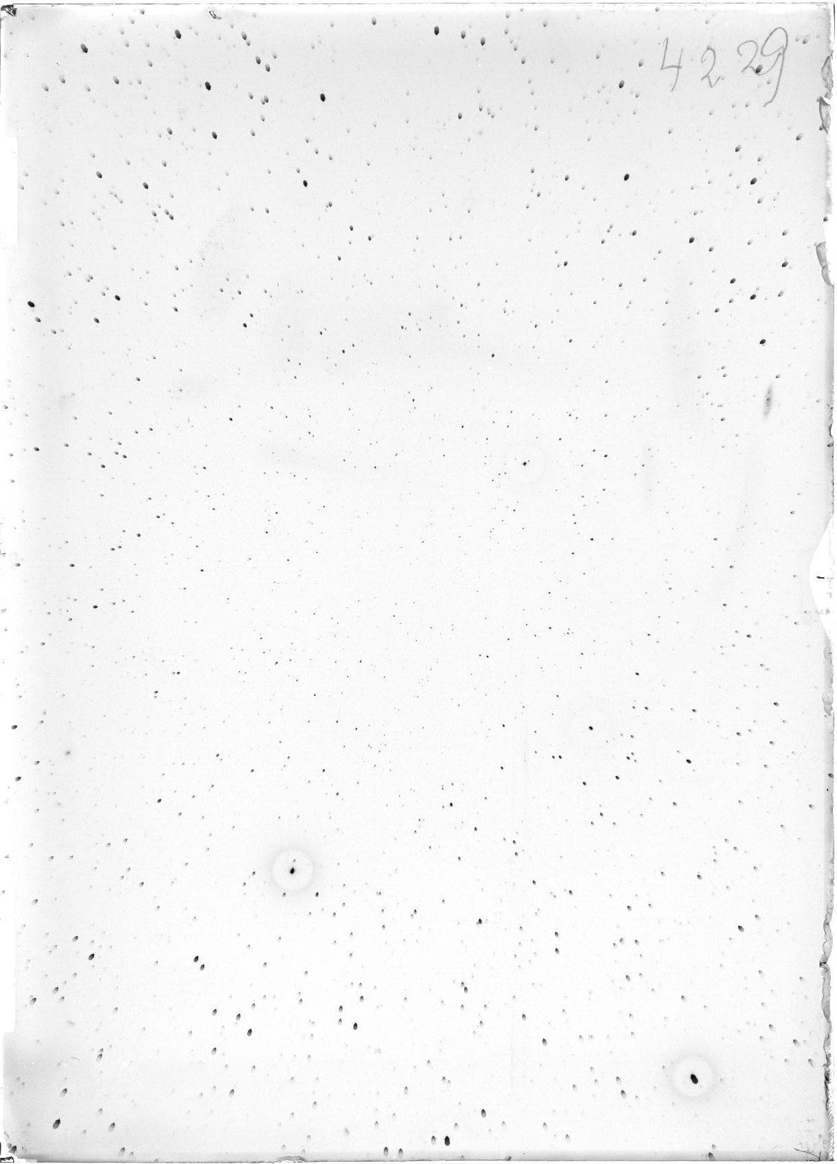 Scan ST04229