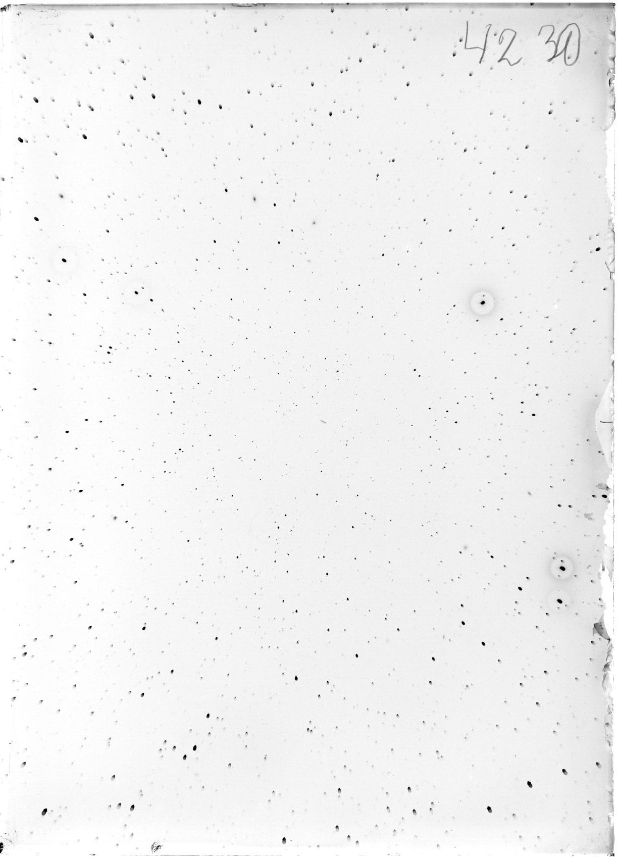 Scan ST04230