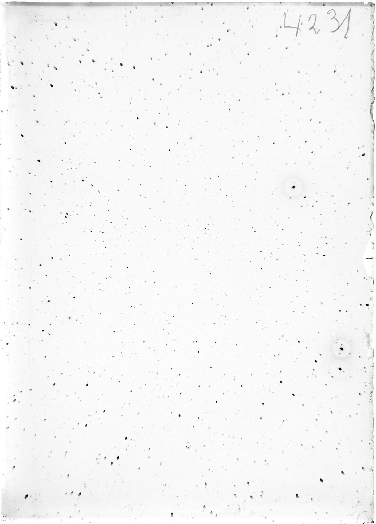 Scan ST04231